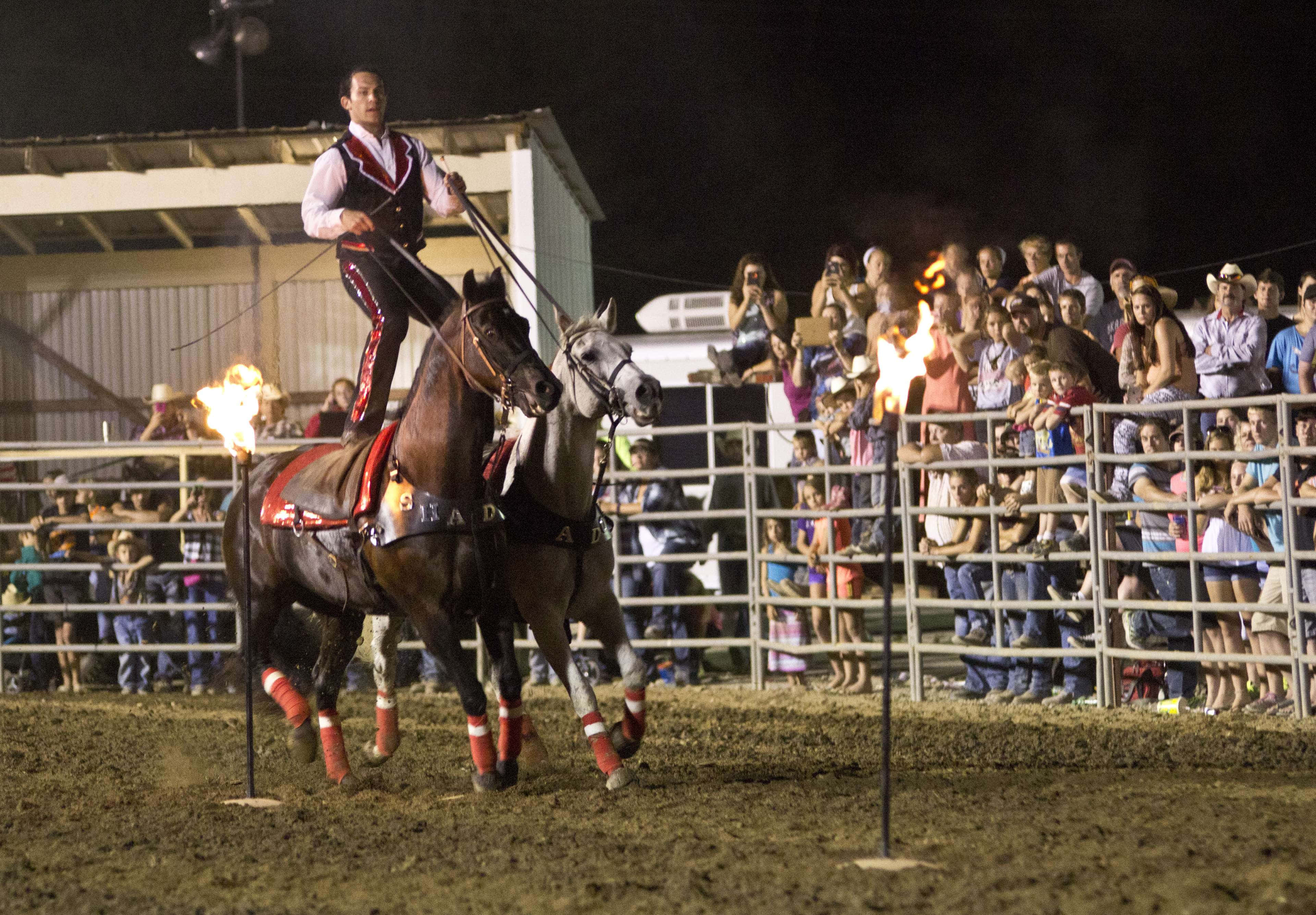 Rodeo, cowboy, horse, 4K Desktop Wallpaper