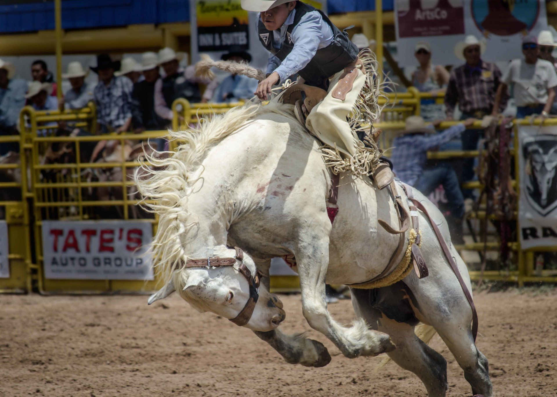 Rodeo, cowboy, bronco, Full HD Desktop Wallpaper