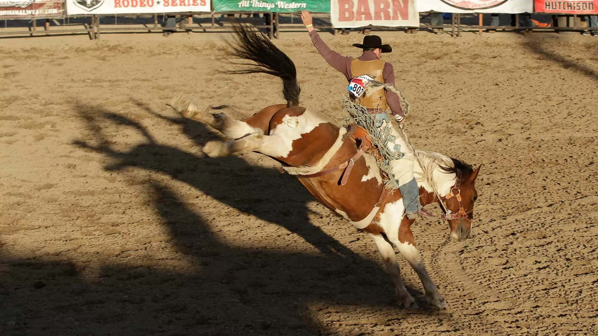 Rodeo, cowboy, bronco, Full HD Desktop Wallpaper