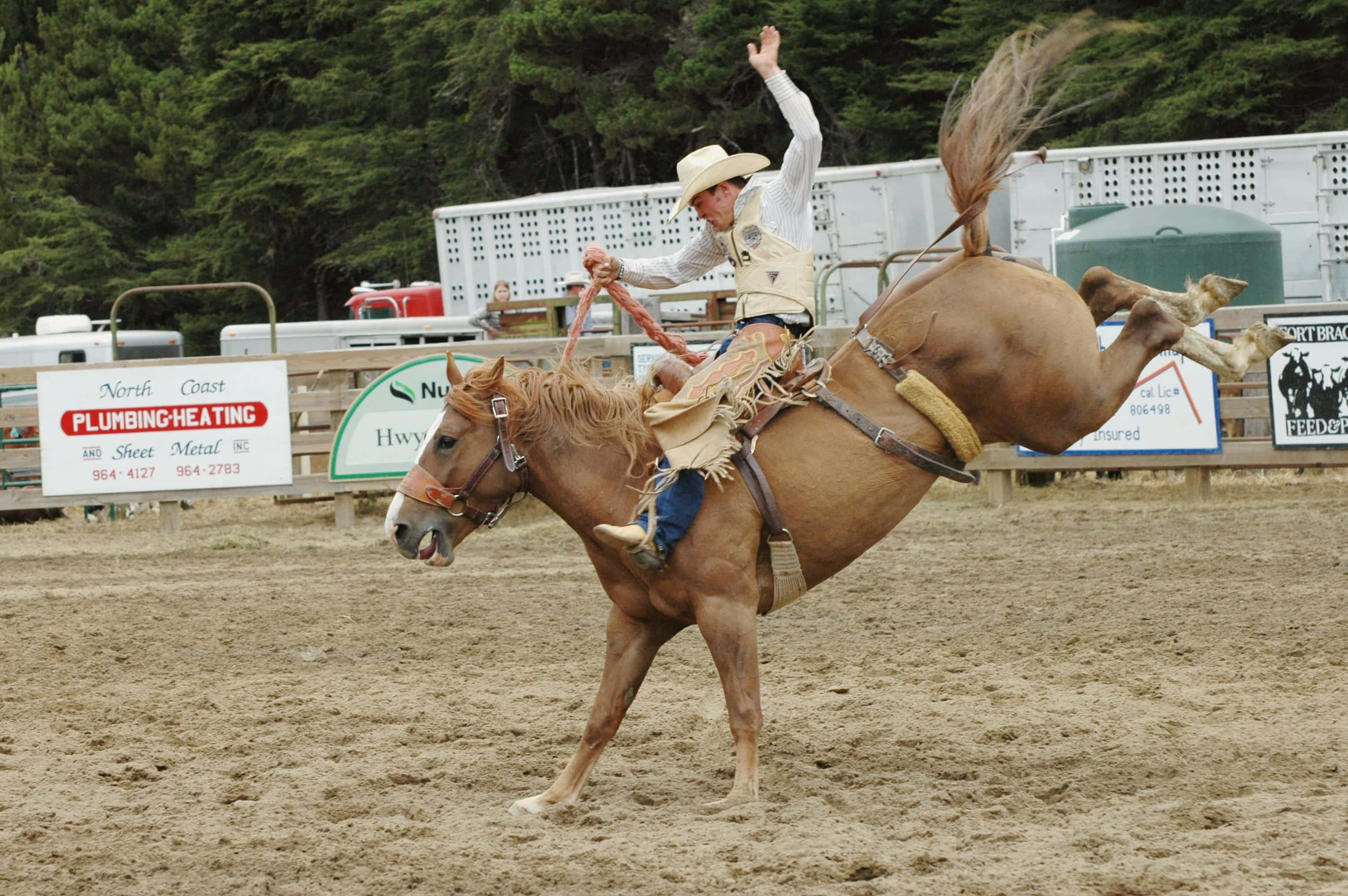 Rodeo, cowboy, white hat, 2K Desktop Wallpaper