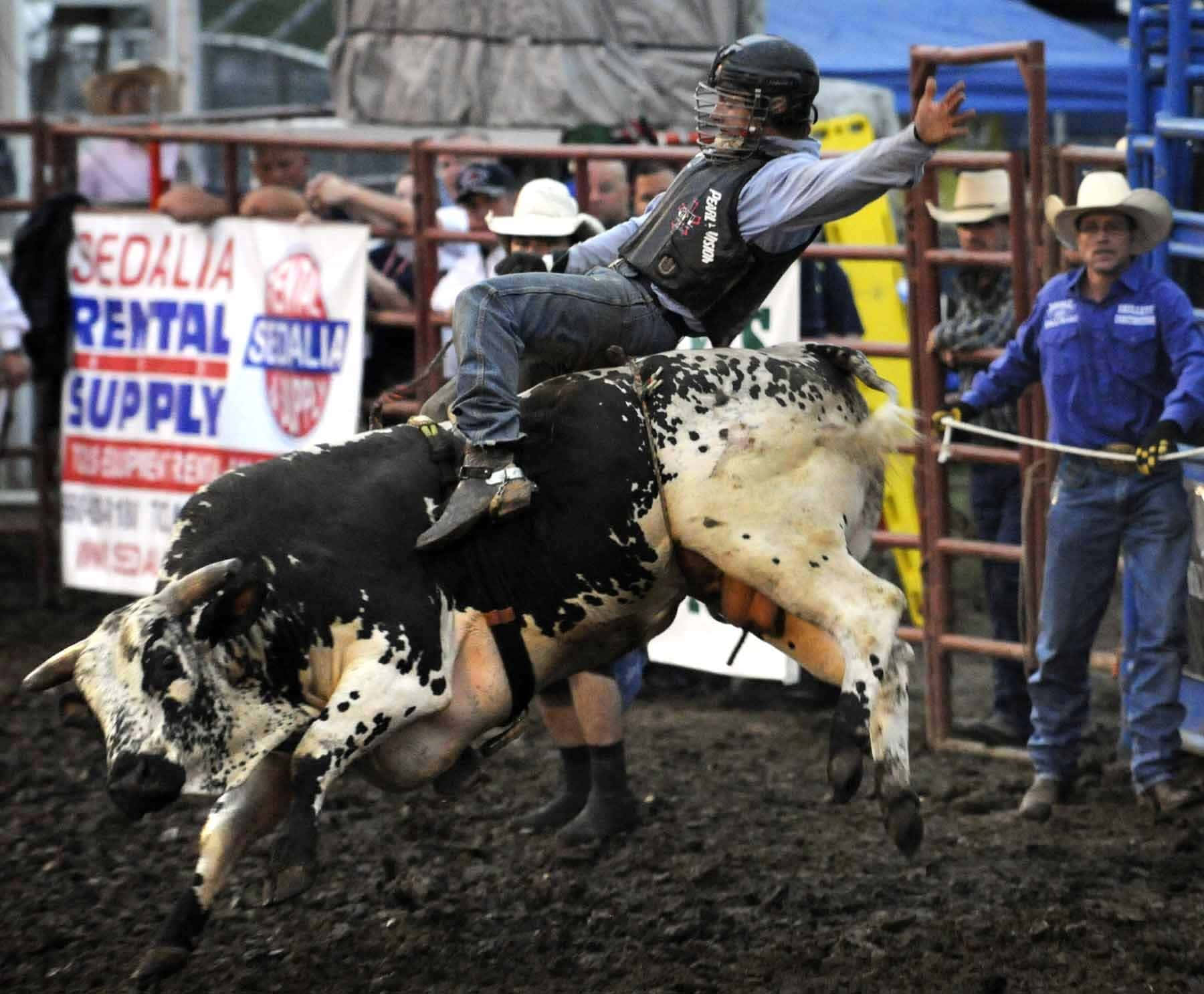 Rodeo, bull rider, black and white bull, HD Desktop Wallpaper