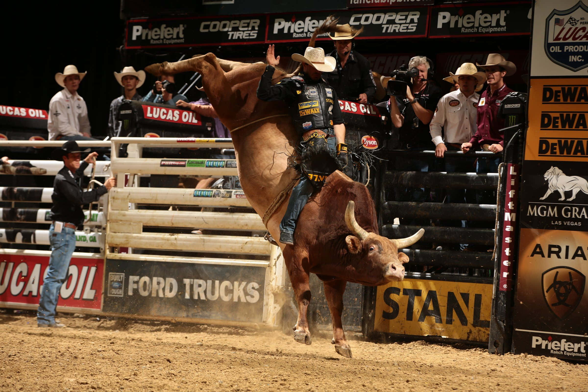 Rodeo, bull rider, bucking bull, Full HD Desktop Wallpaper