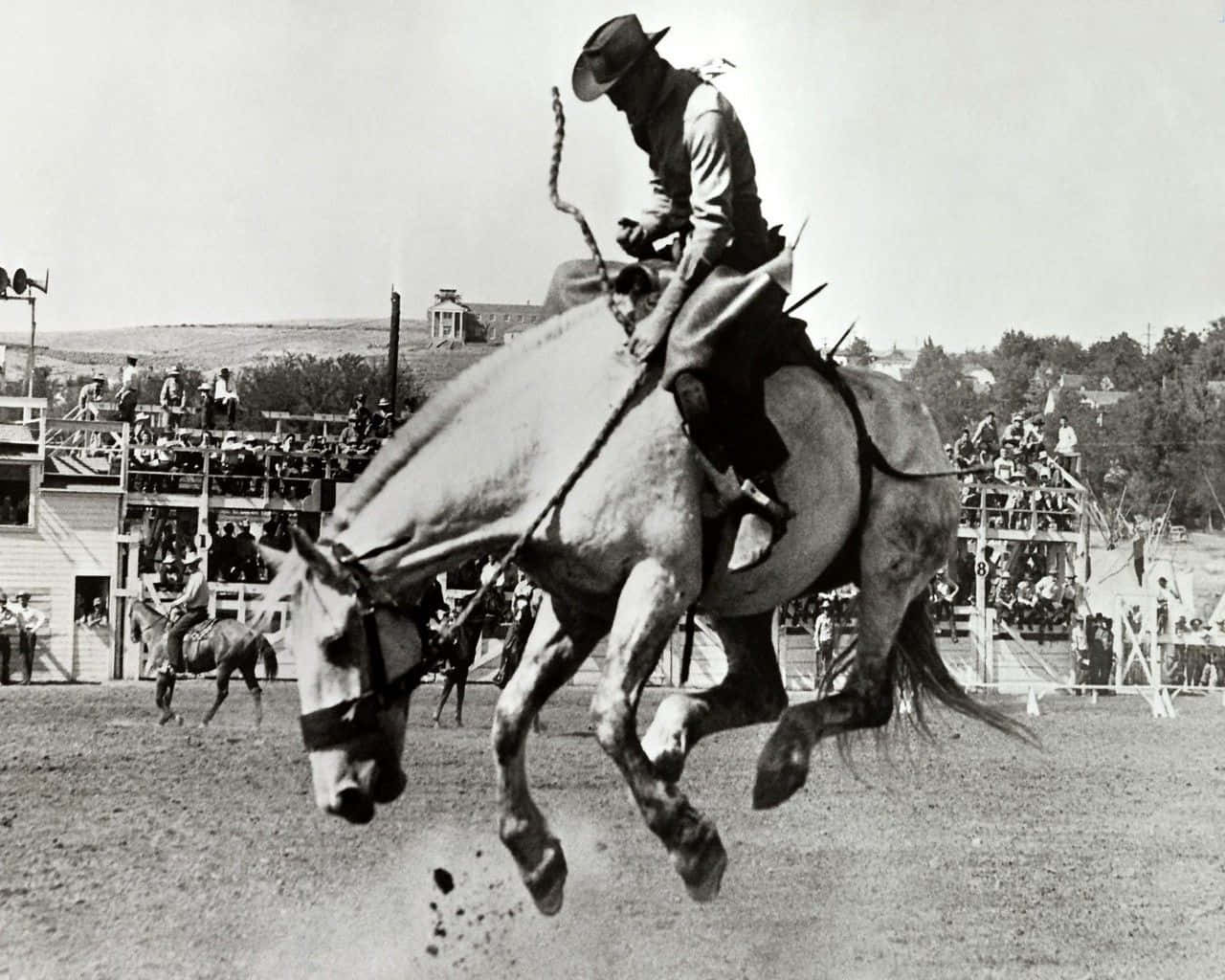Rodeo, cowboy, bucking bronco, HD Desktop Wallpaper