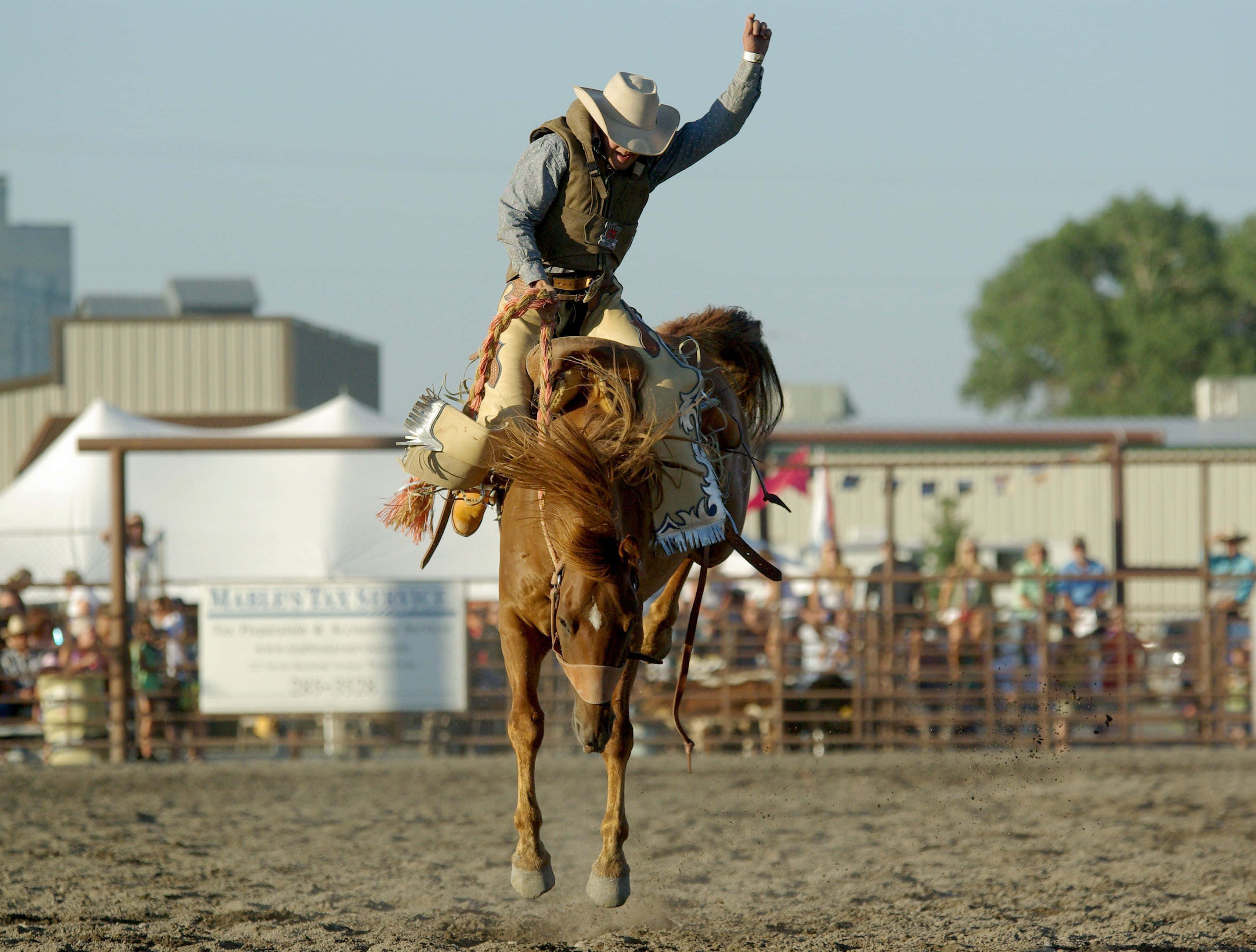 Rodeo, cowboy, white hat, 2K Desktop Wallpaper