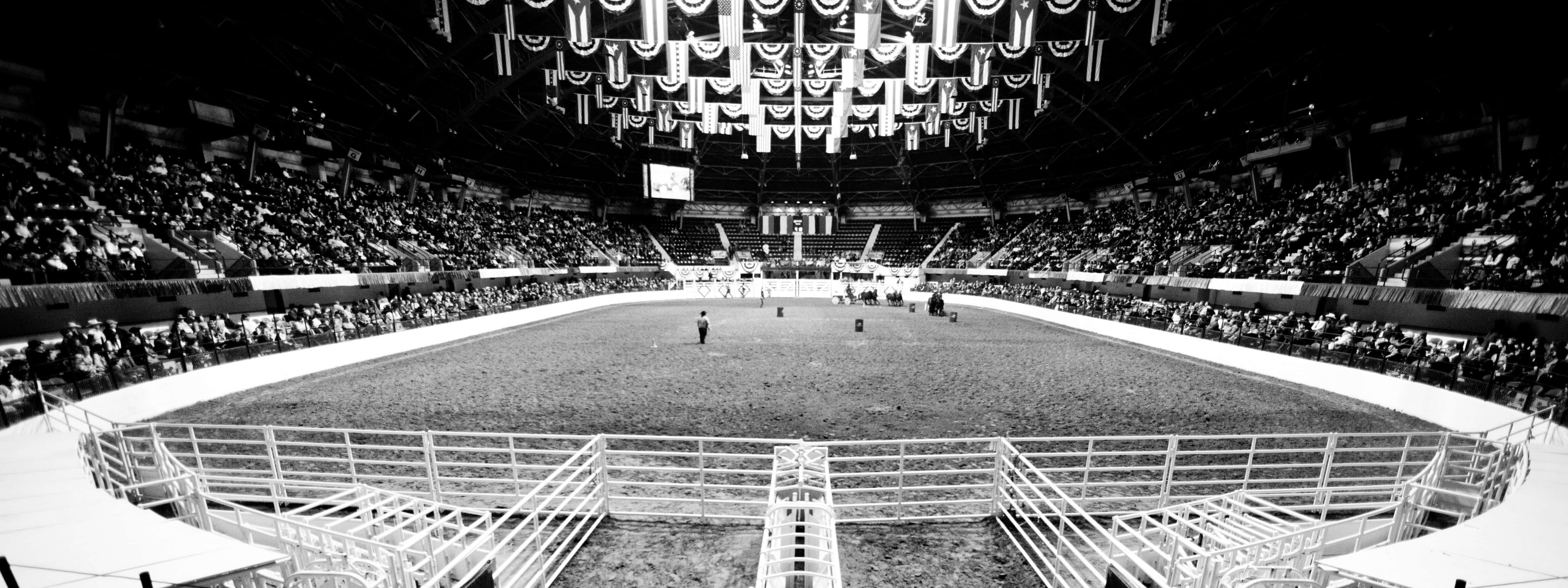 Rodeo, Black and white, panoramic view, 5K Desktop Wallpaper