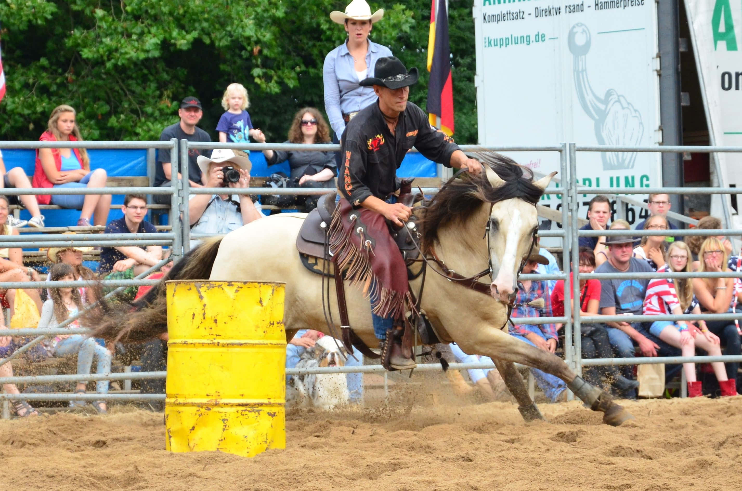 Rodeo, bronco, palomino horse, 2K Desktop Wallpaper