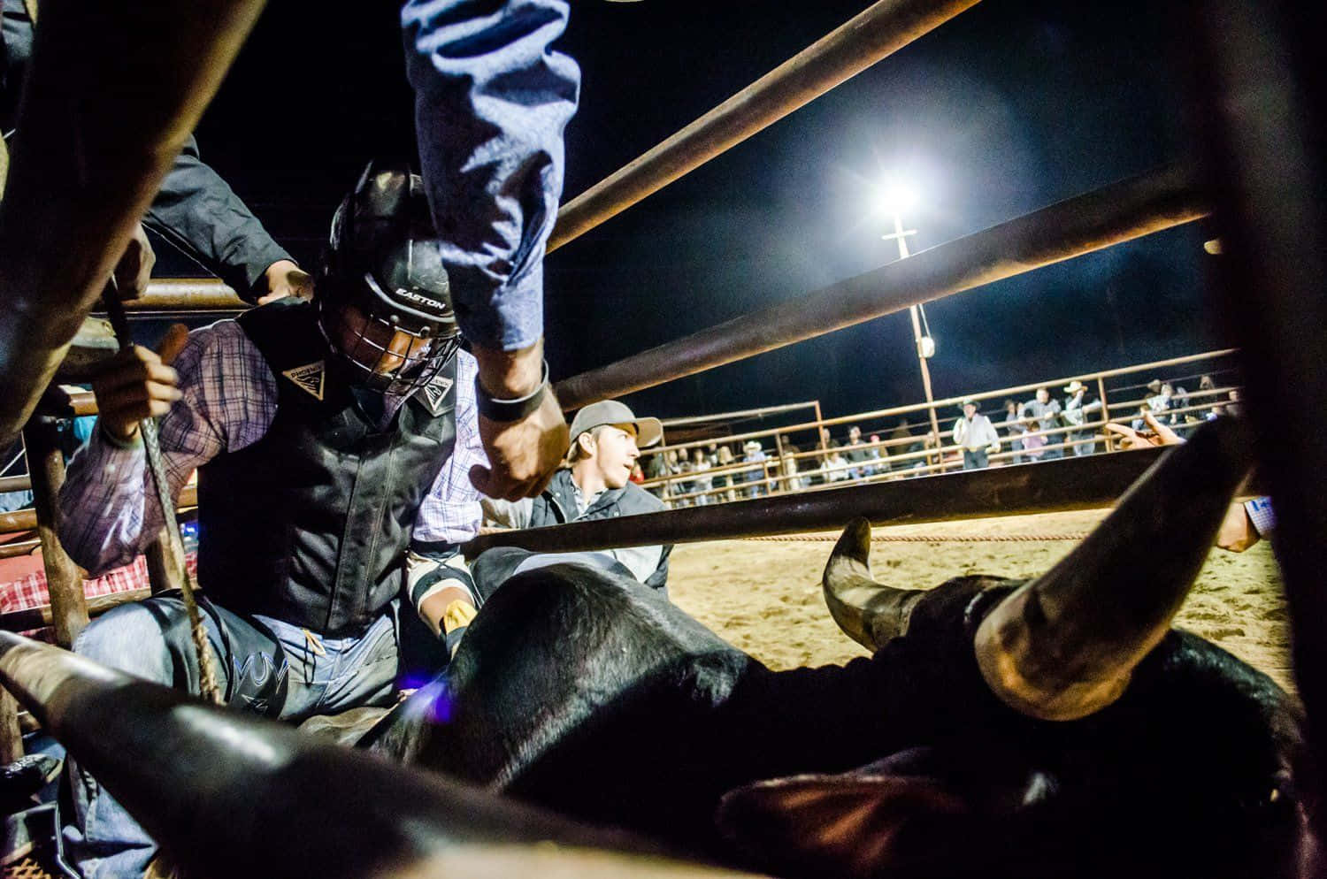 Rodeo, cowboy, bucking bull, HD Desktop Wallpaper
