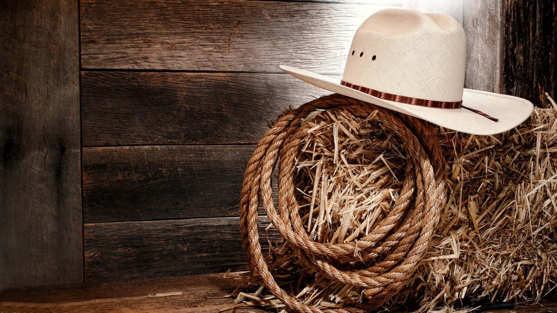 Rodeo, cream cowboy hat, coiled rope, Full HD Desktop Wallpaper