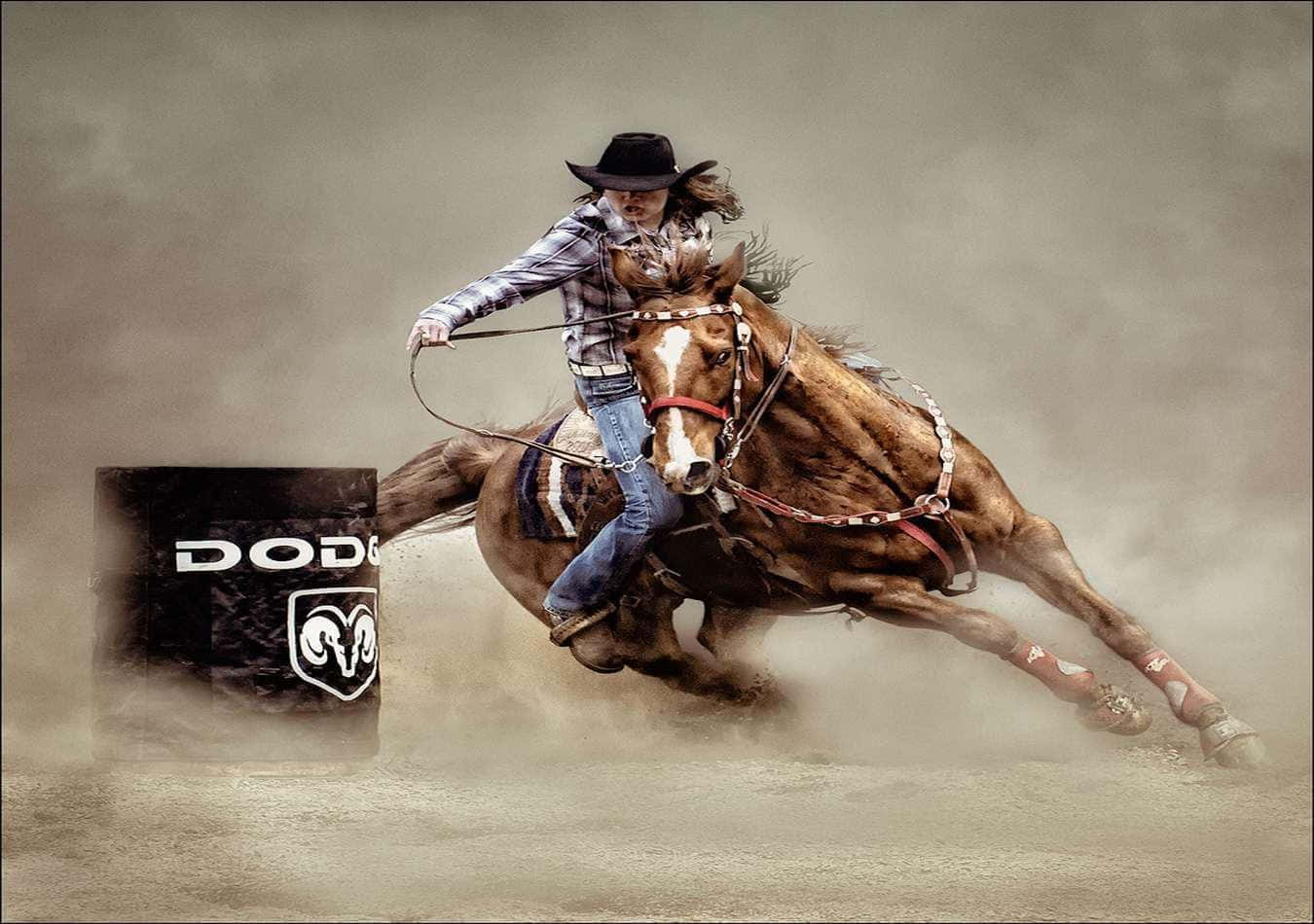 Rodeo, cowboy, bucking bronco, HD Desktop Wallpaper