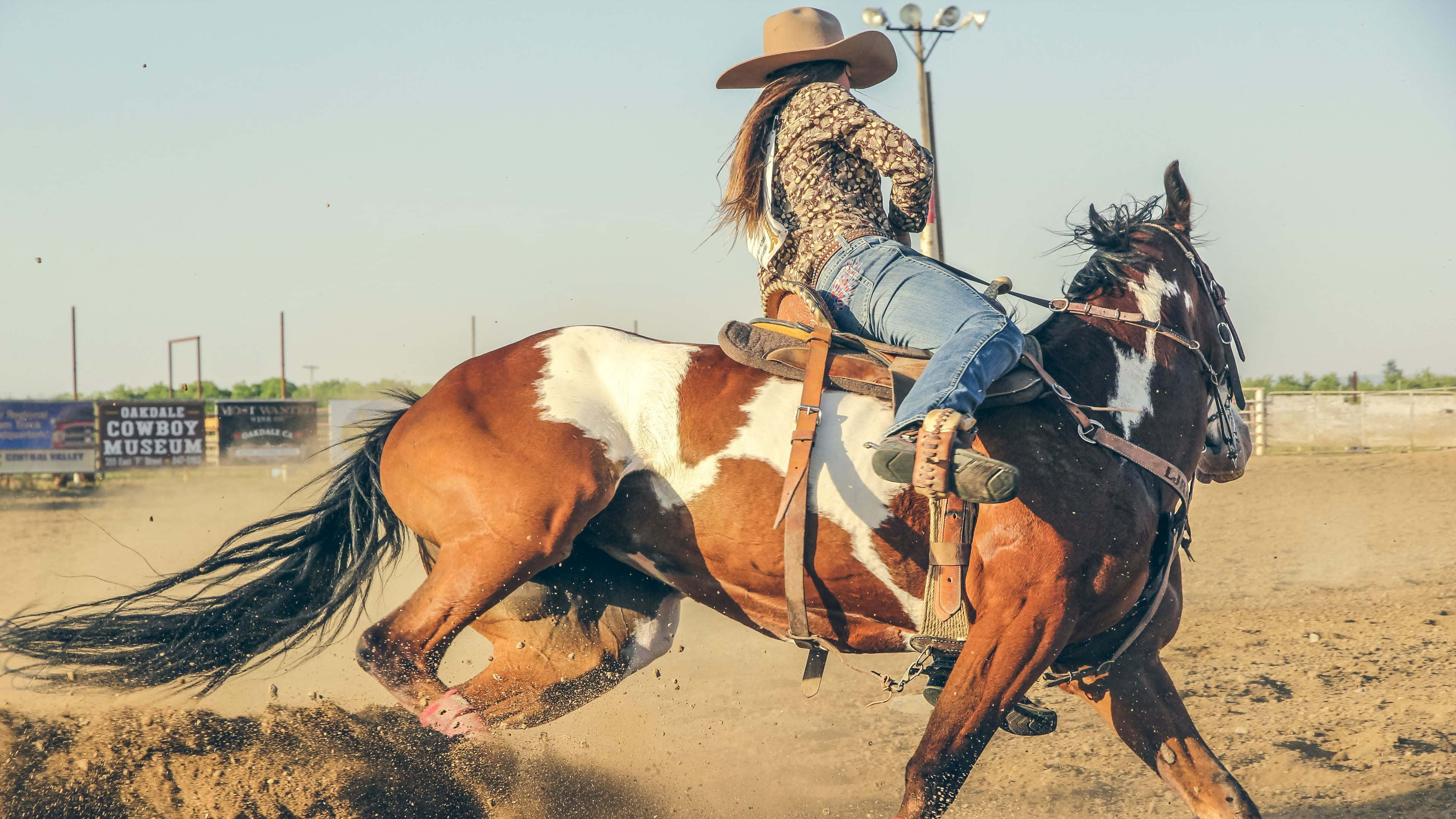 Rodeo, cowboy, hat, 4K Desktop Wallpaper