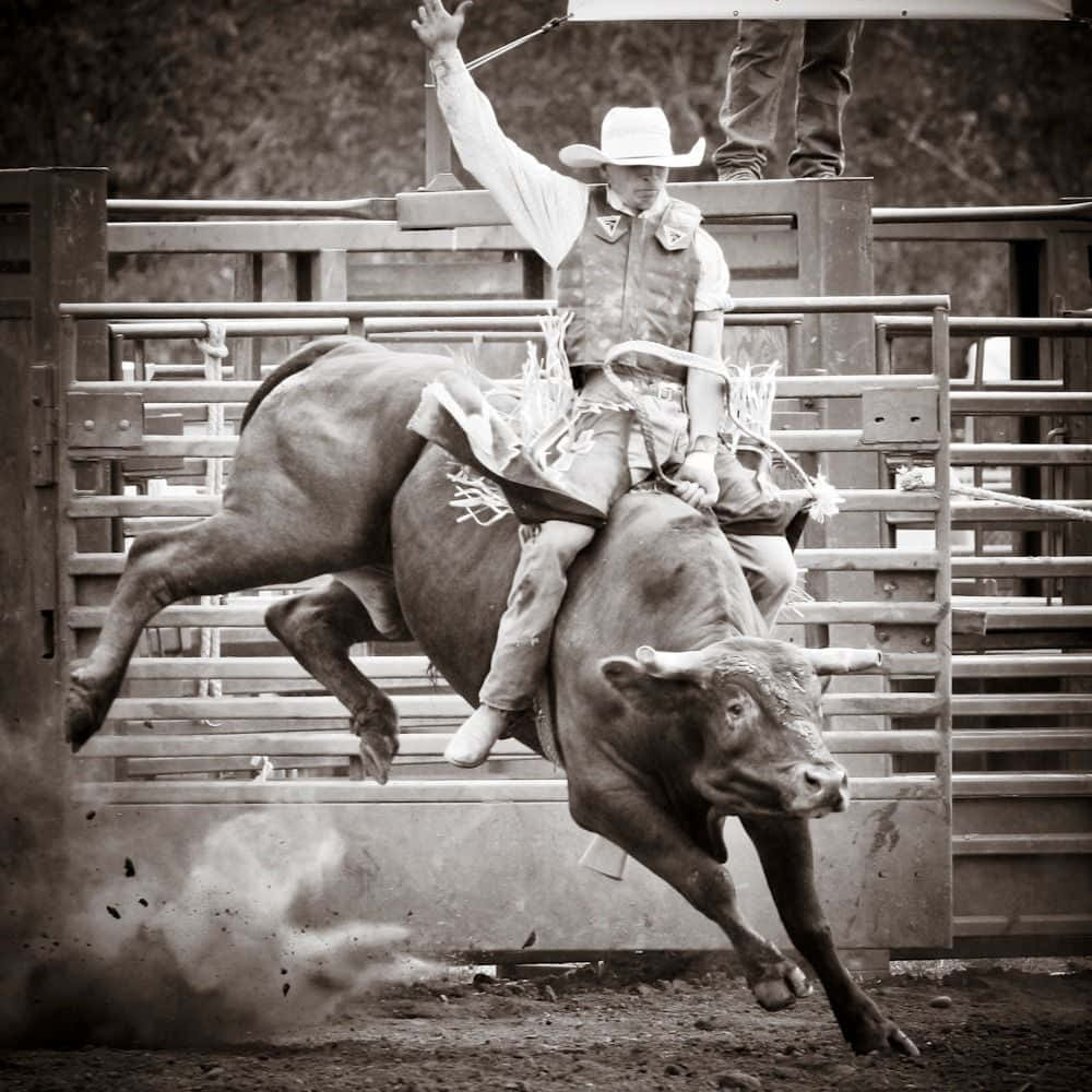 Rodeo, cowboy, white hat, SD Desktop Wallpaper