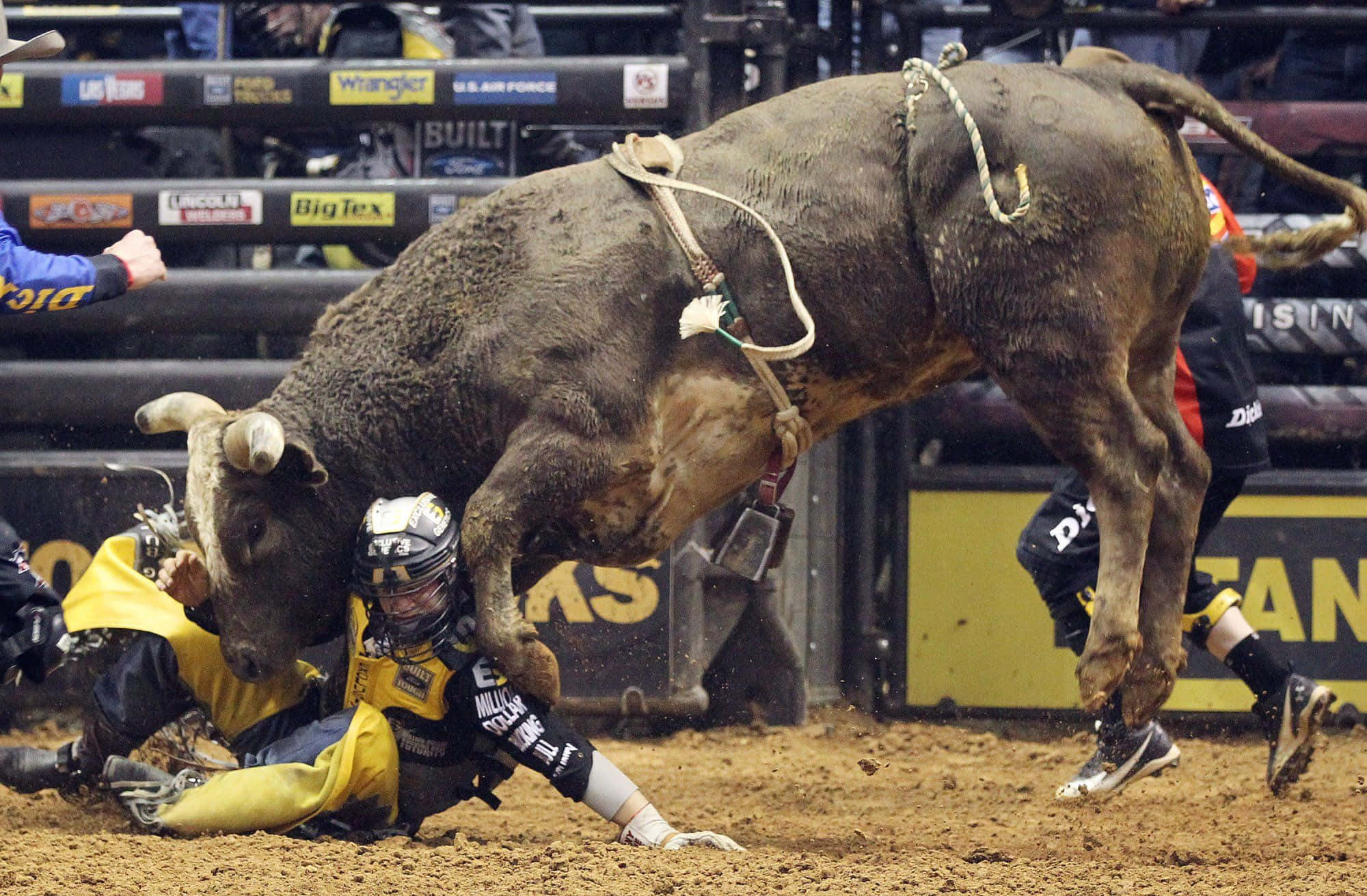rodeo, bull rider, bucking bull, Full HD Desktop Wallpaper