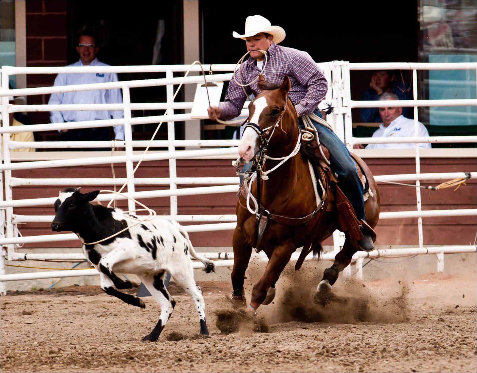rodeo, cowboy, bucking bronco, HD Desktop Wallpaper