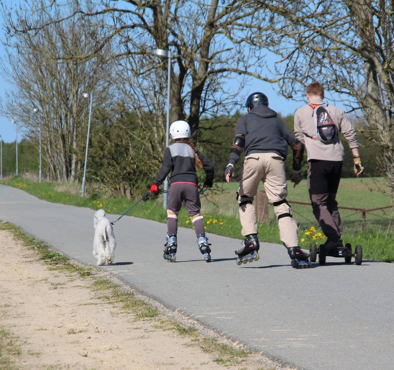 young boys, rollerblading, fluffy white dog, SD Desktop Wallpaper