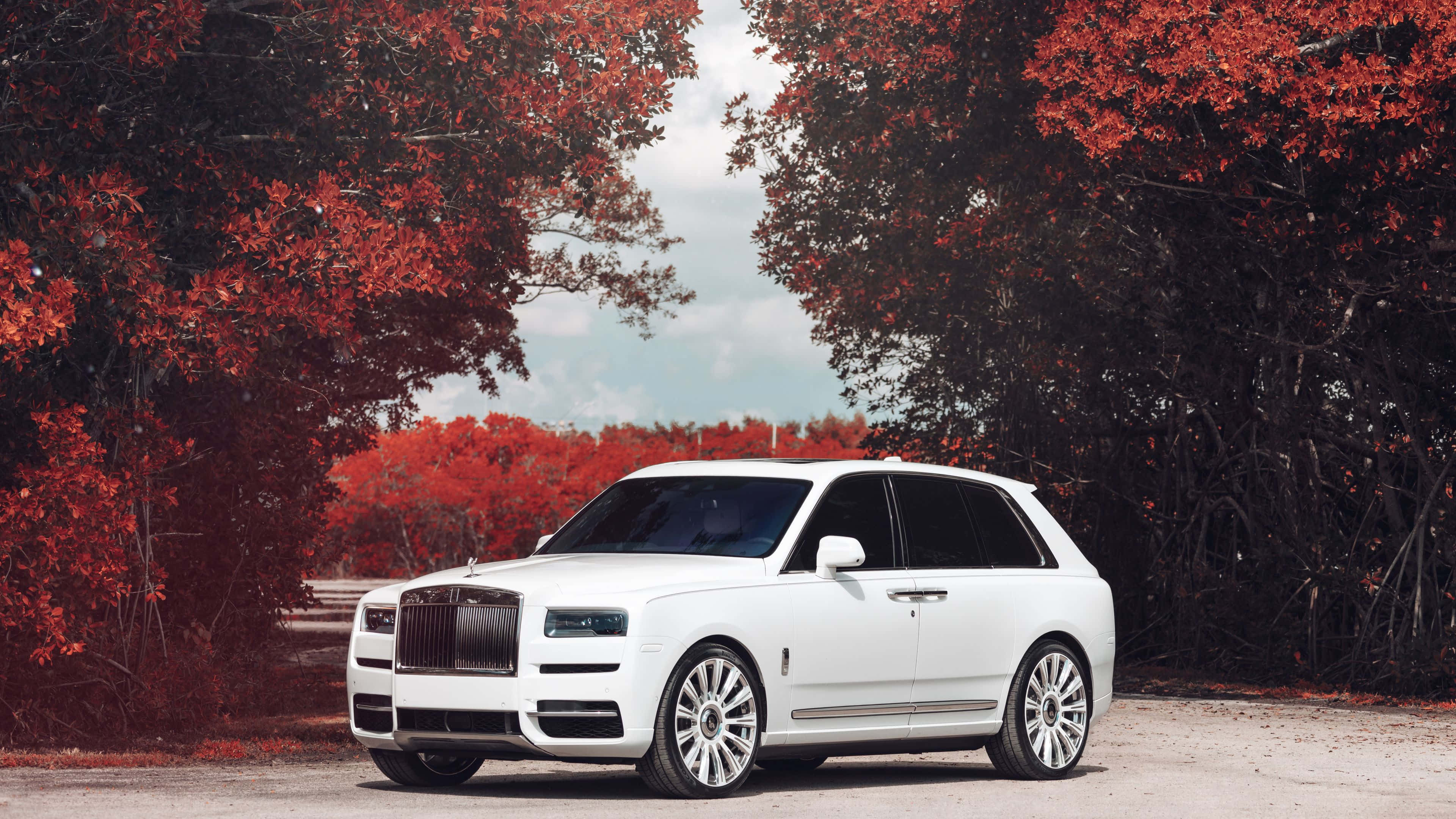 Rolls Royce Cullinan, pristine white, gravel road, 4K Desktop Wallpaper