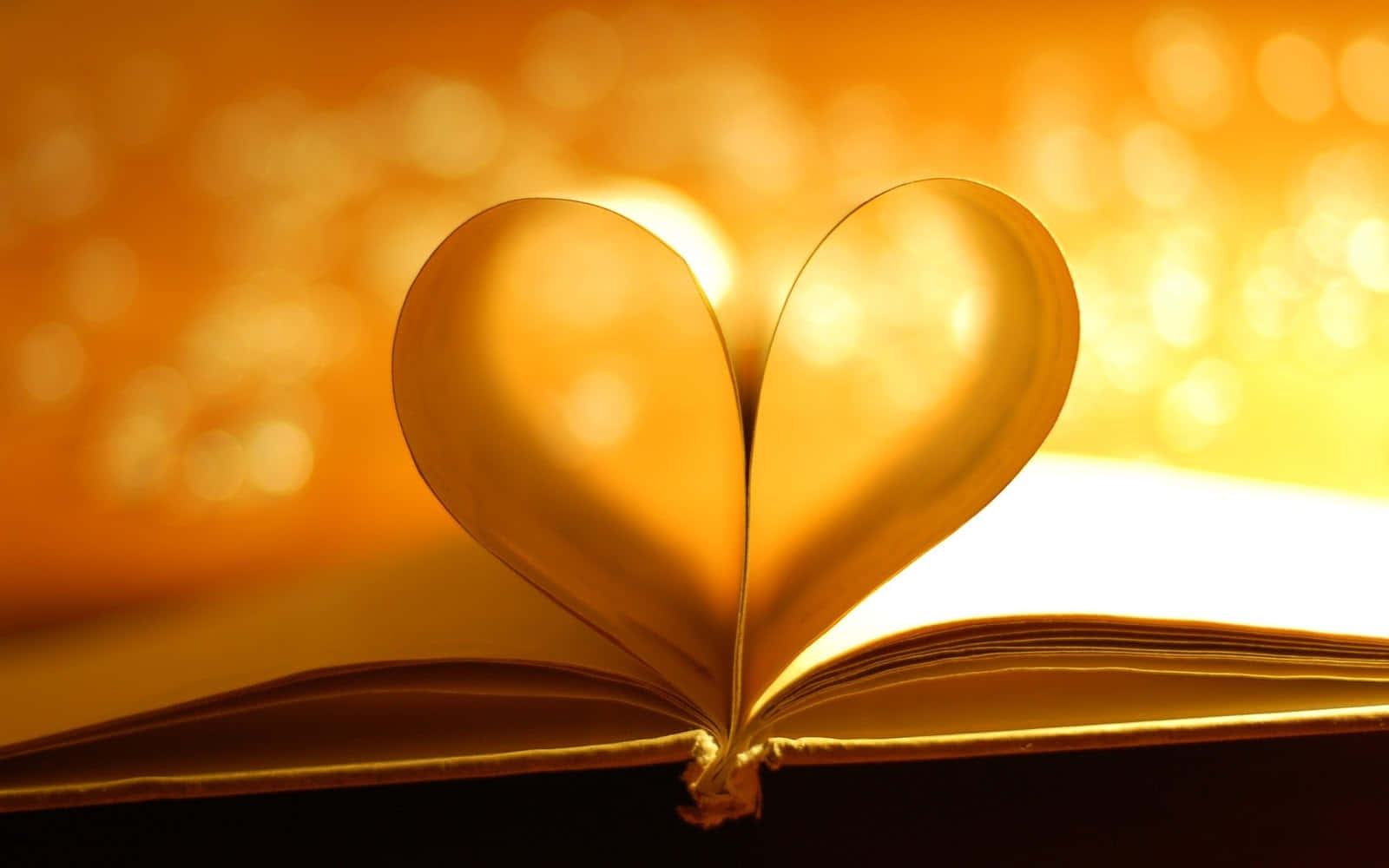 Romance Literature, heart-shaped book page silhouette, golden bokeh background, HD Desktop Wallpaper