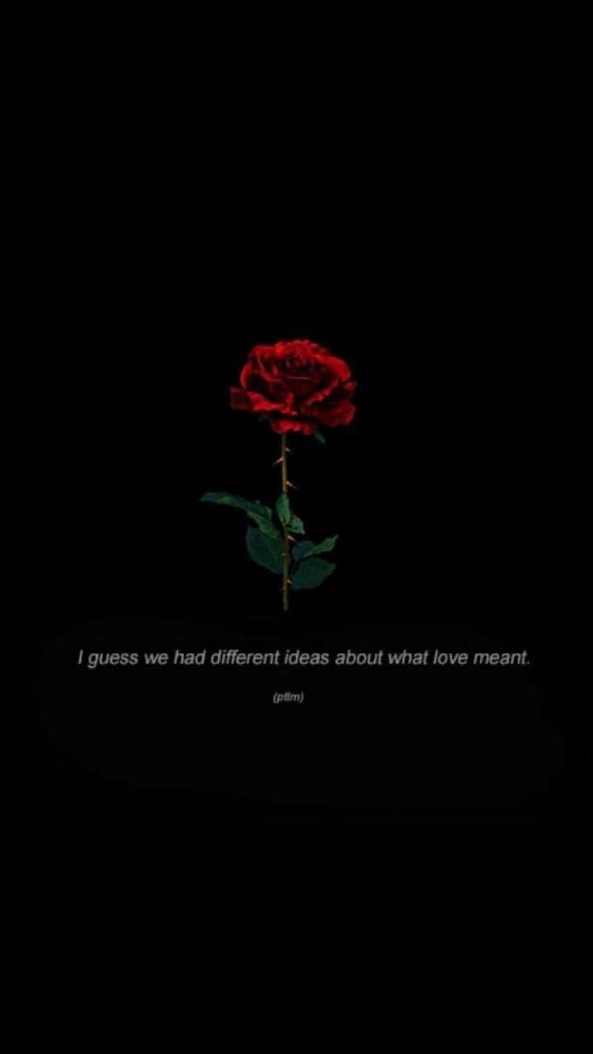 dark romance, rose, red rose, HD Phone Wallpaper