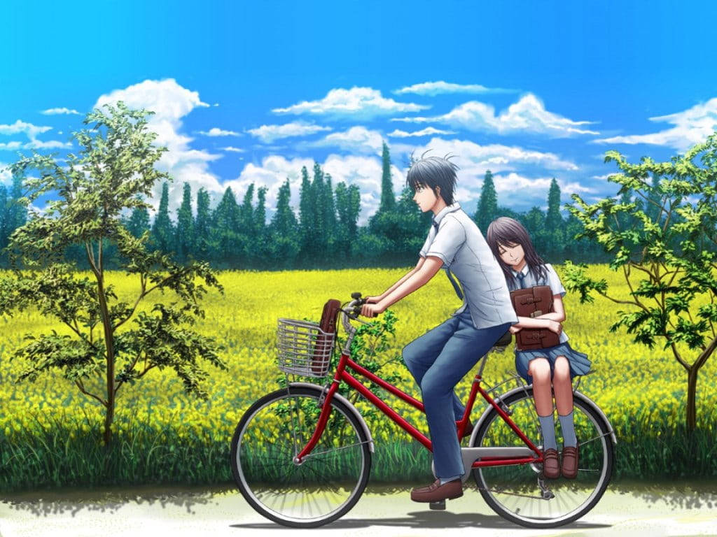 red bicycle, girl holding a book, sunlit field of yellow flowers, SD Desktop Wallpaper