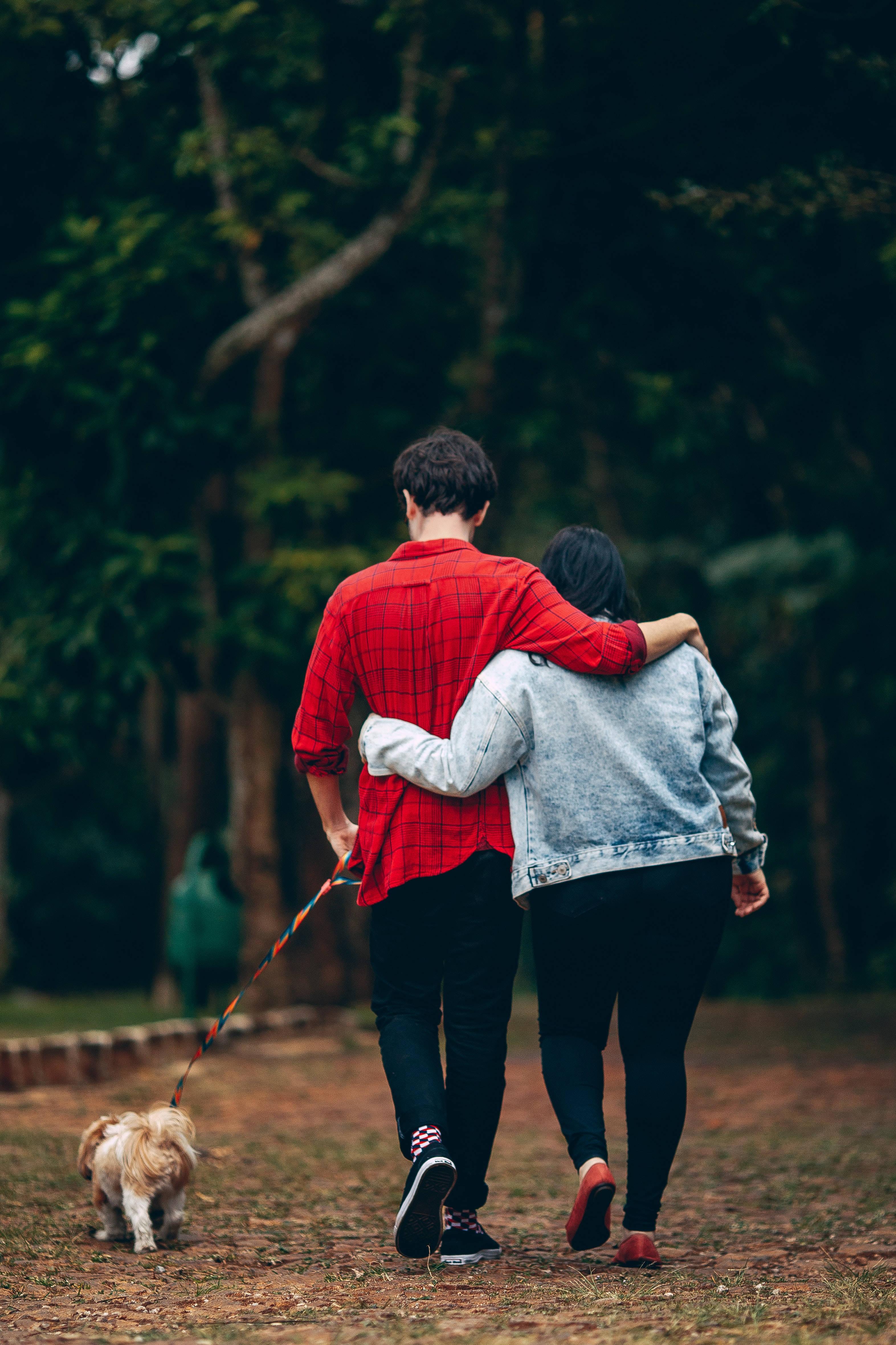 Romantic Couple, small dog, forest path, 4K Phone Wallpaper