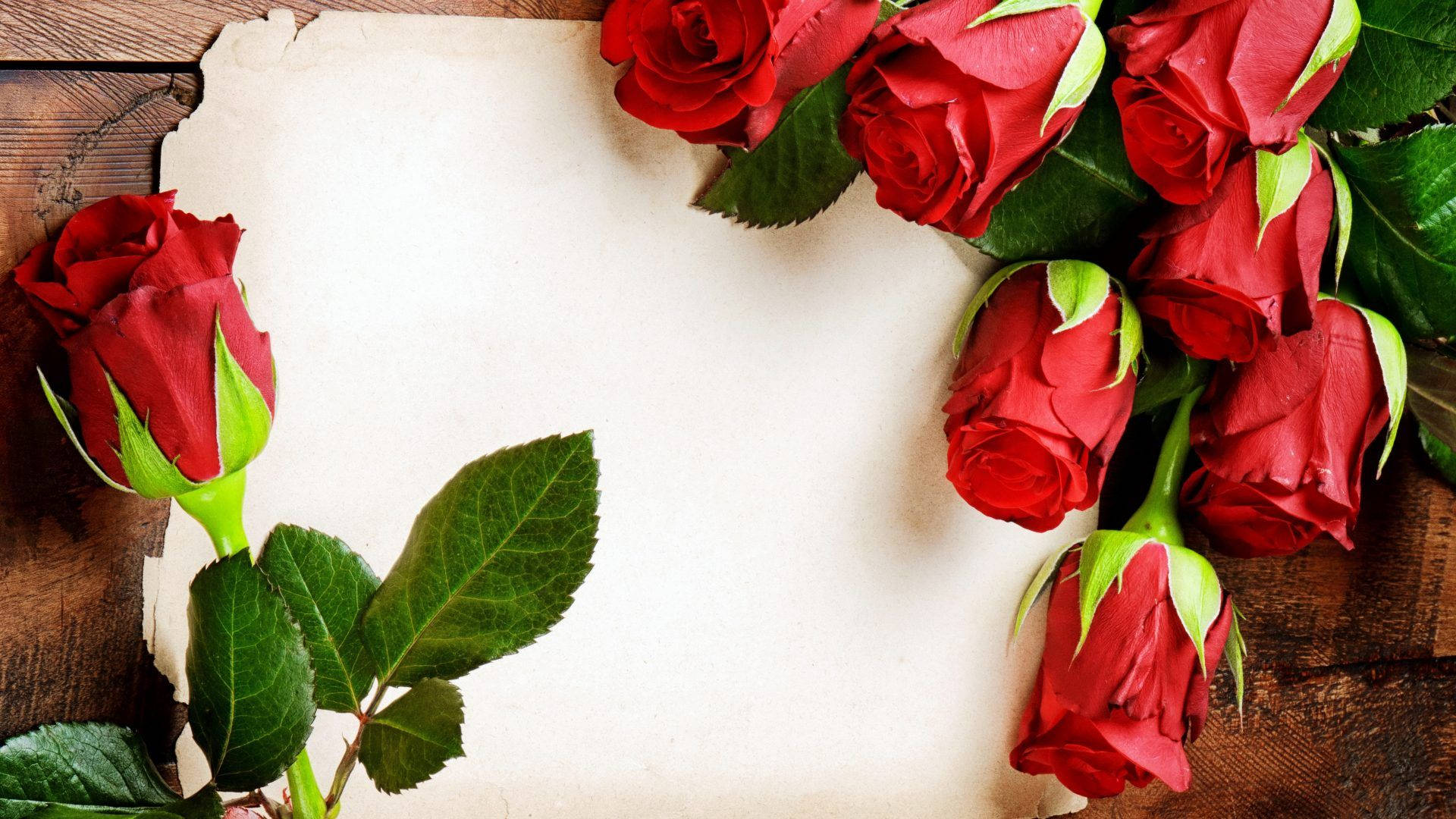 Romantic Love Flowers, vibrant red roses, lush green leaves, Full HD Desktop Wallpaper