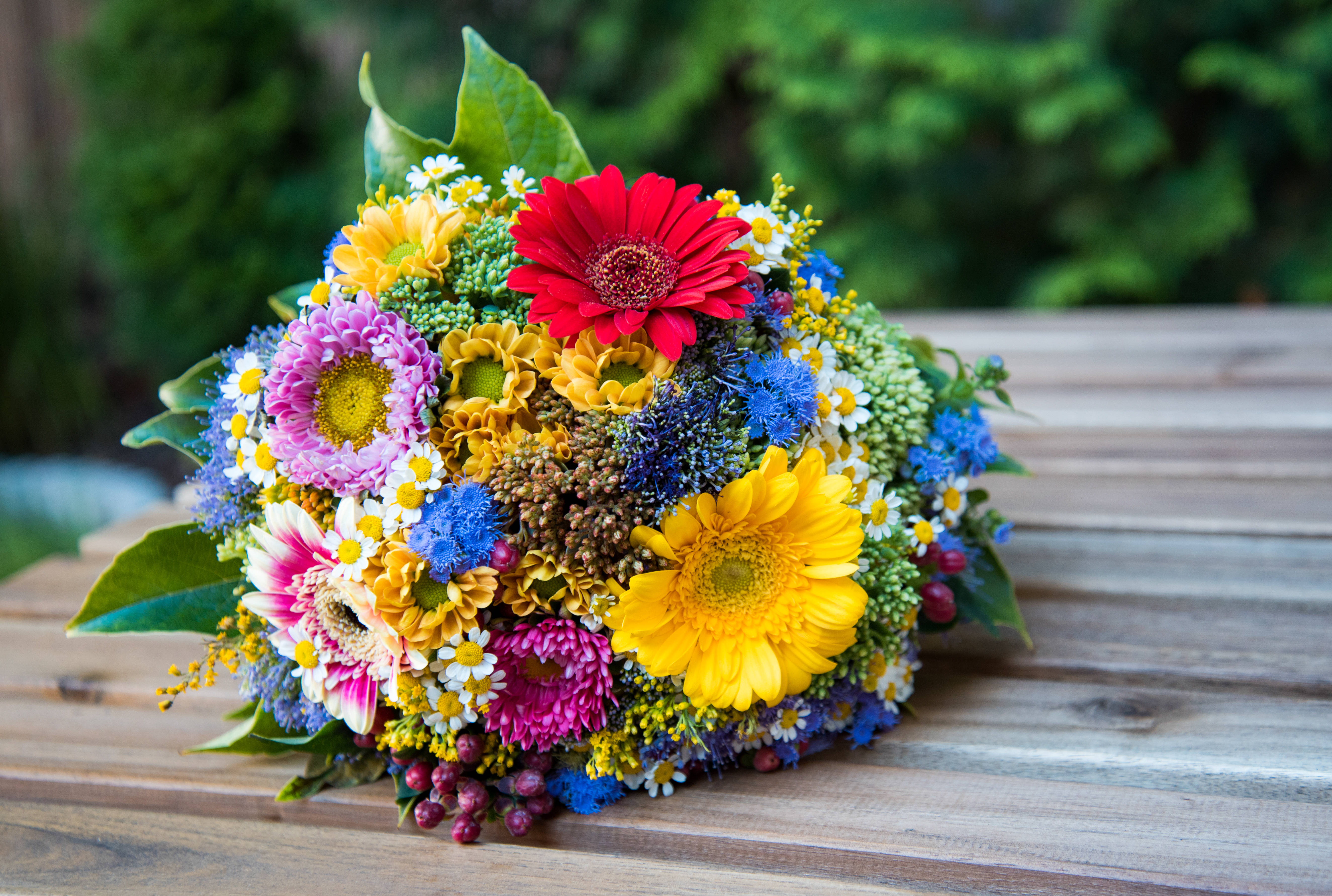 Romantic Love Flowers Bouquet, red gerberas, yellow gerberas, 5K Desktop Wallpaper