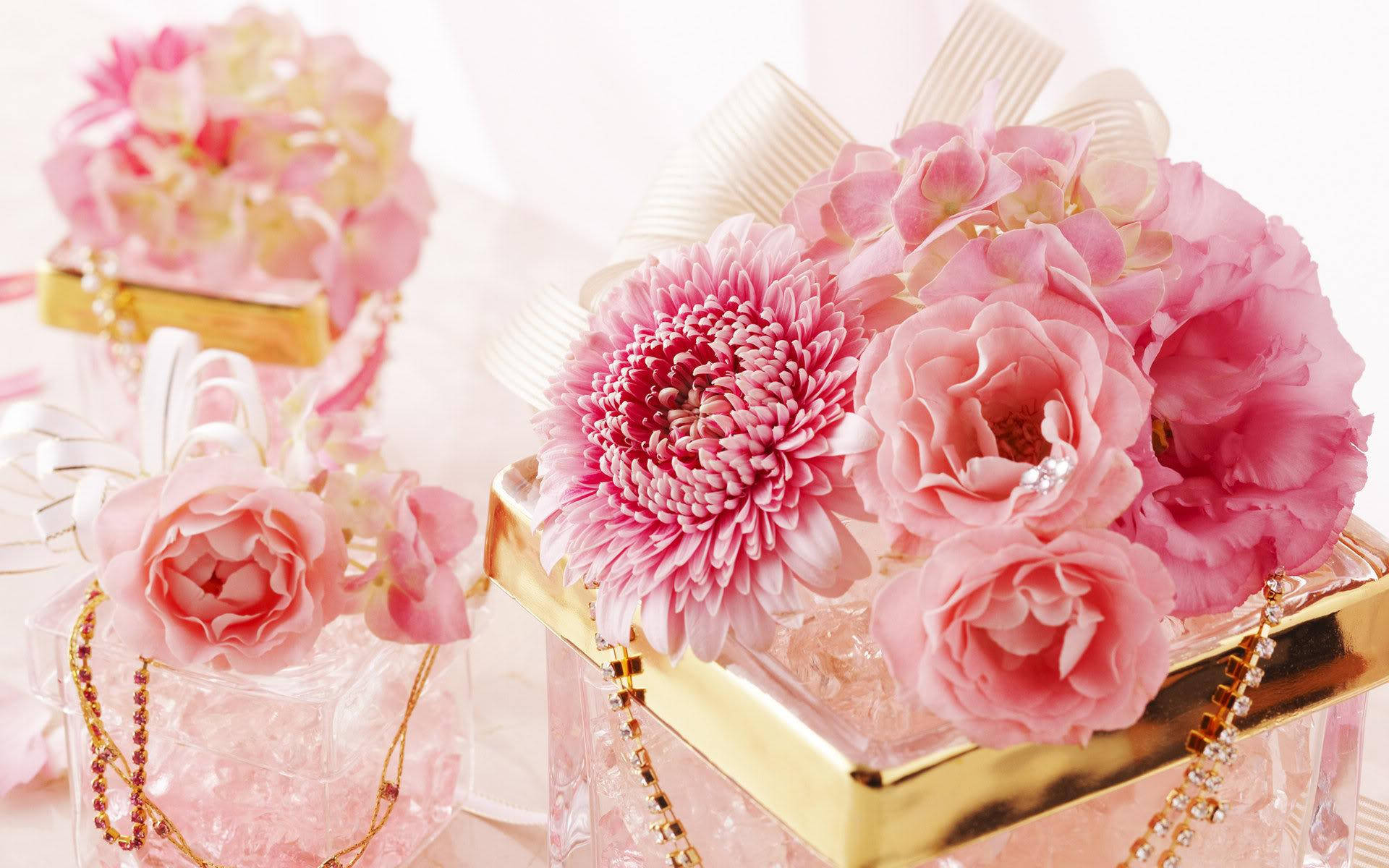 romantic love flowers, dahlia, carnations, Full HD Desktop Wallpaper