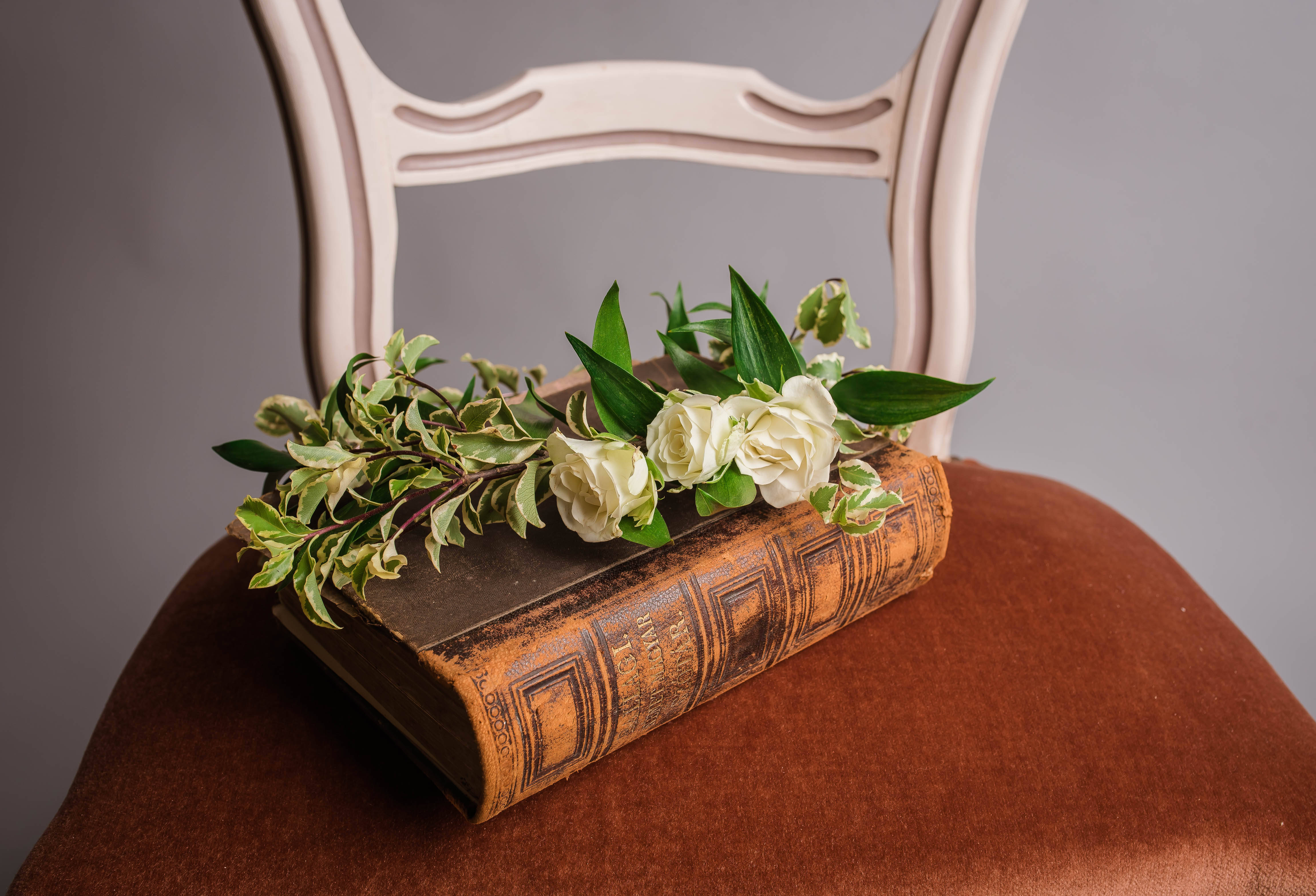 white roses, vintage book, rust-colored velvet chair, 4K Desktop Wallpaper