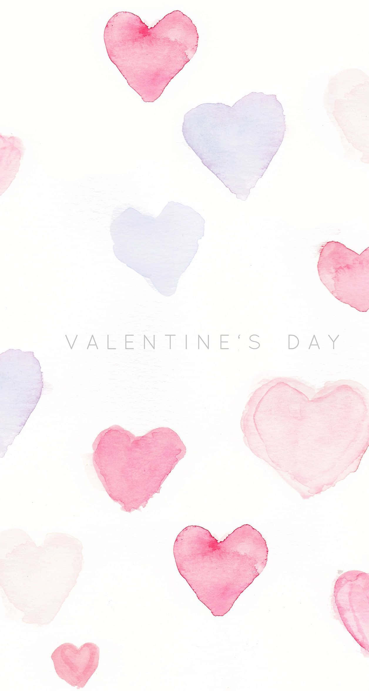 True Love Blooms, Valentine's Day, pink, Full HD Phone Wallpaper