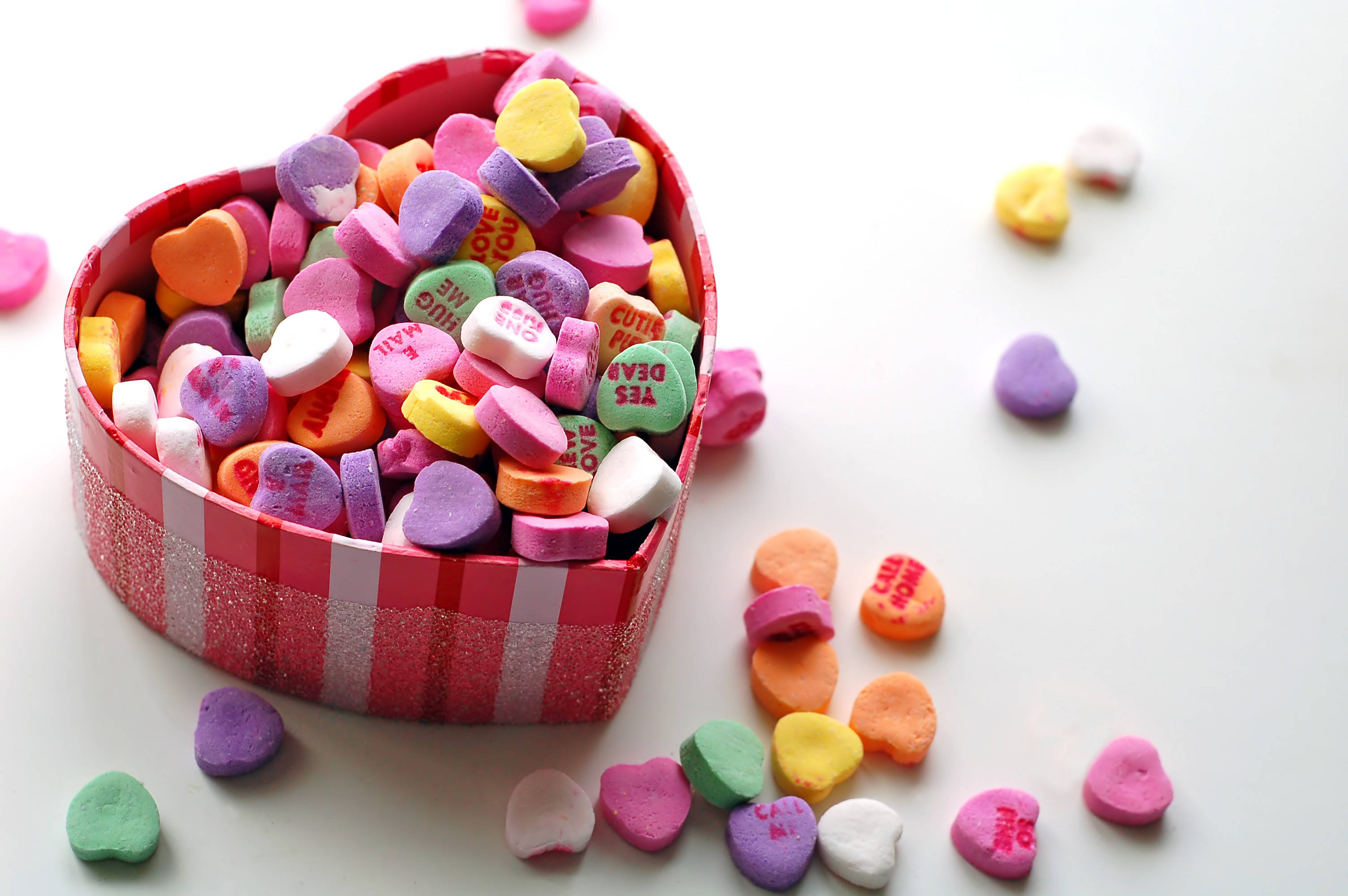 Valentines Day, lovebirds, roses, 2K Desktop Wallpaper