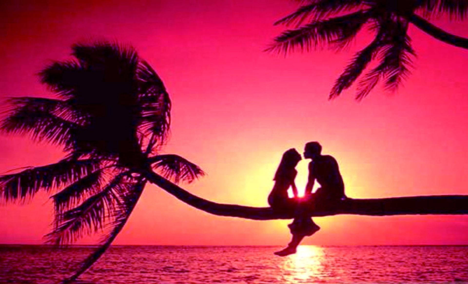 couple, palm tree branch, fiery pink sunset, Full HD Desktop Wallpaper