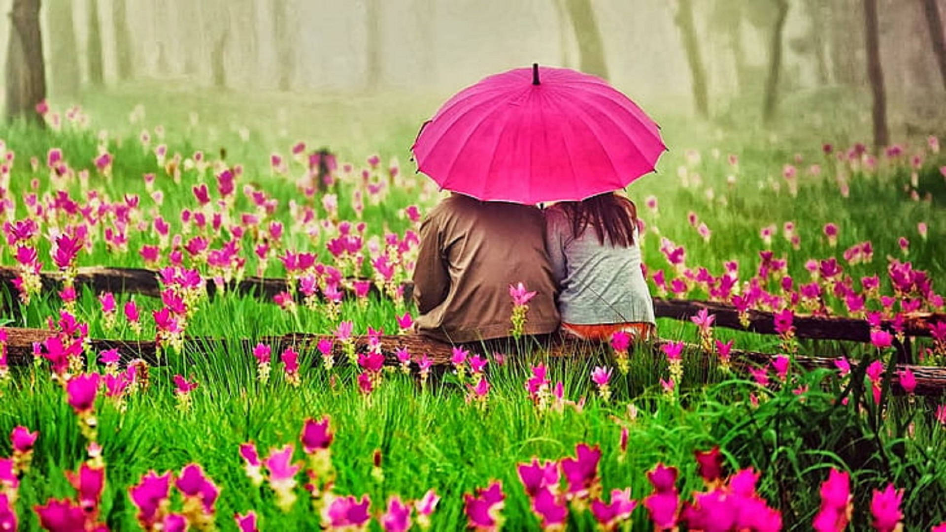 Romantic Love, flower garden, bright pink umbrella, Full HD Desktop Wallpaper