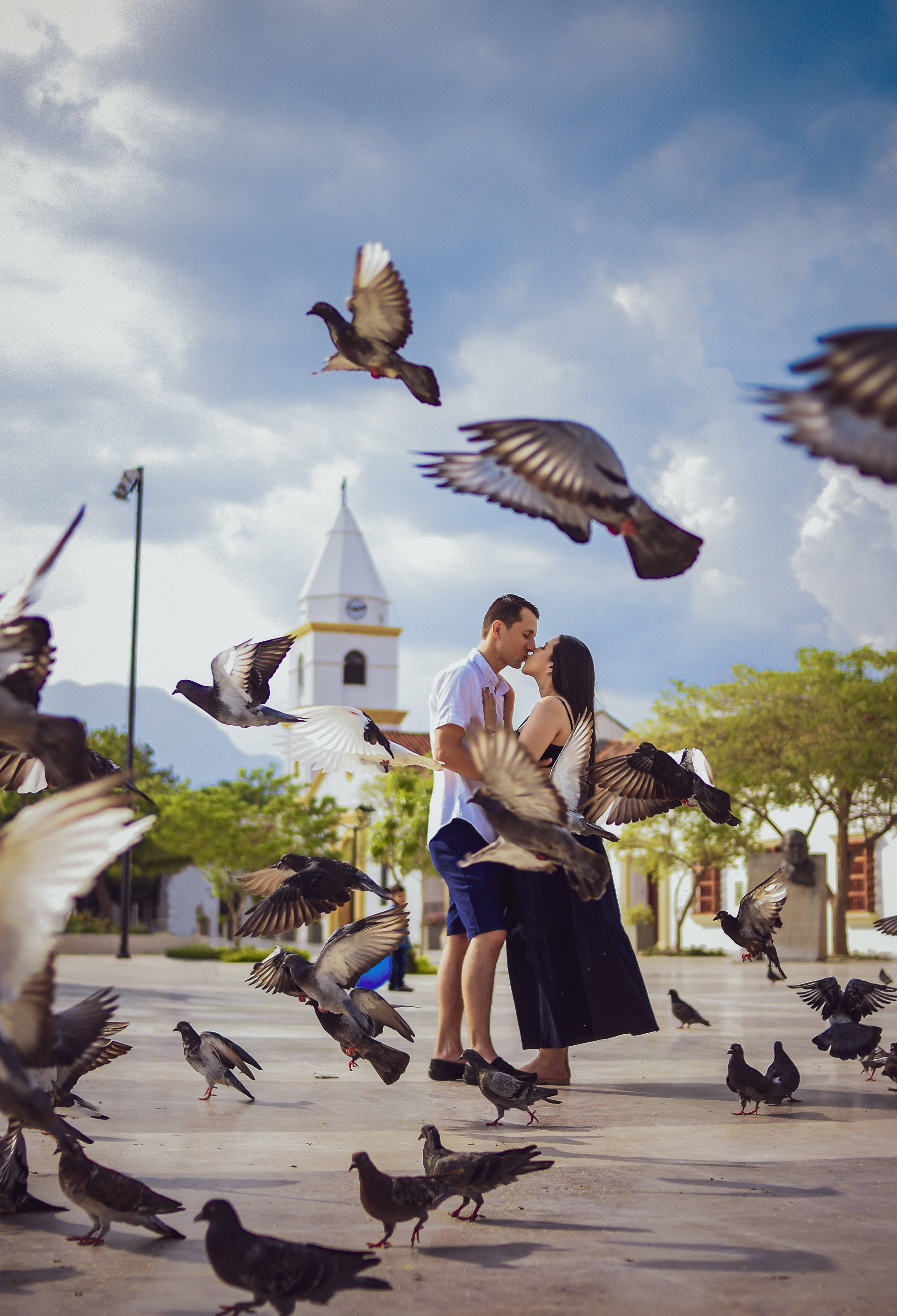 sunlit plaza, pigeons, church tower, 4K Phone Wallpaper