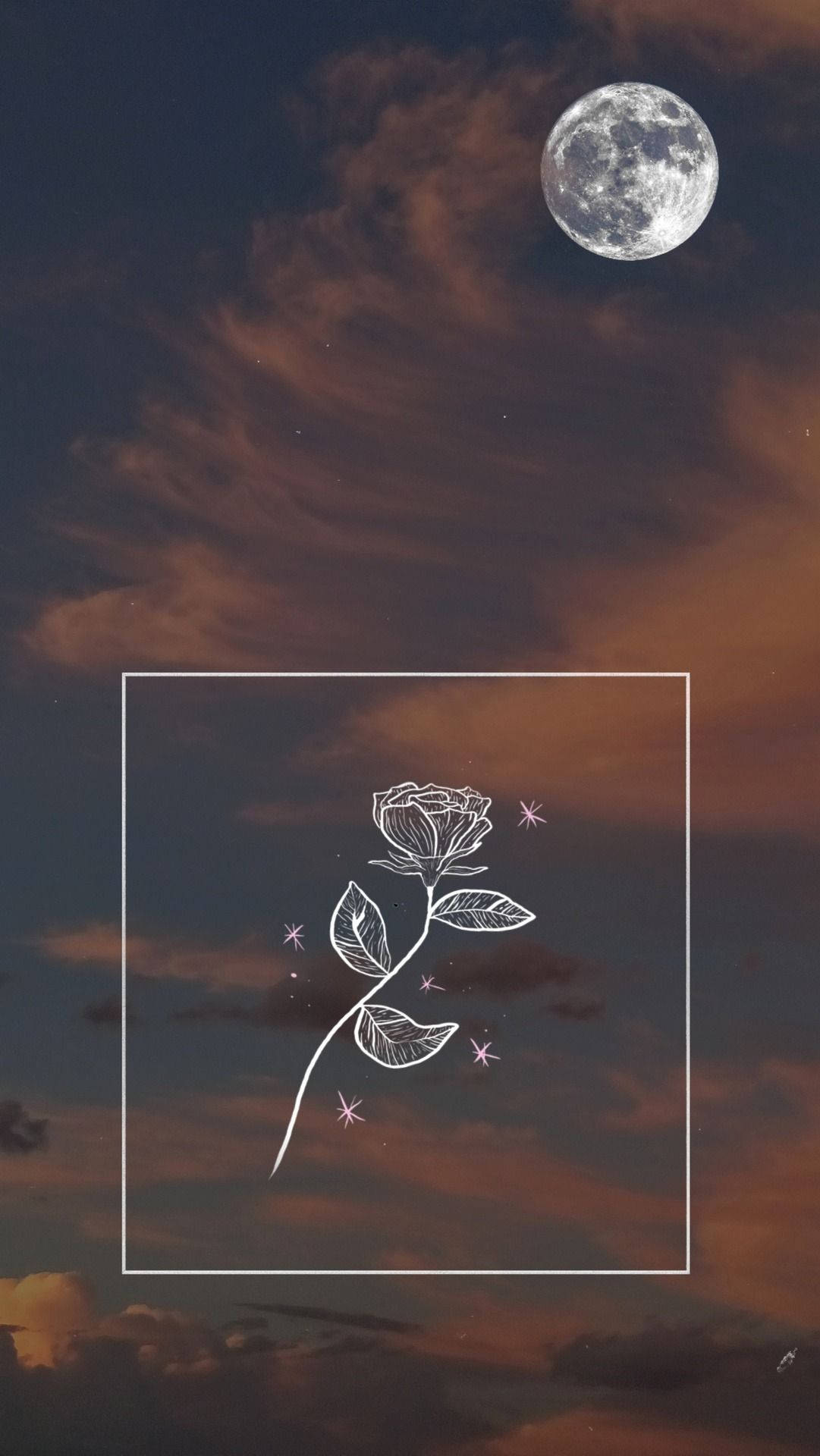 rose, sparkling stars, twilight sky, Full HD Phone Wallpaper