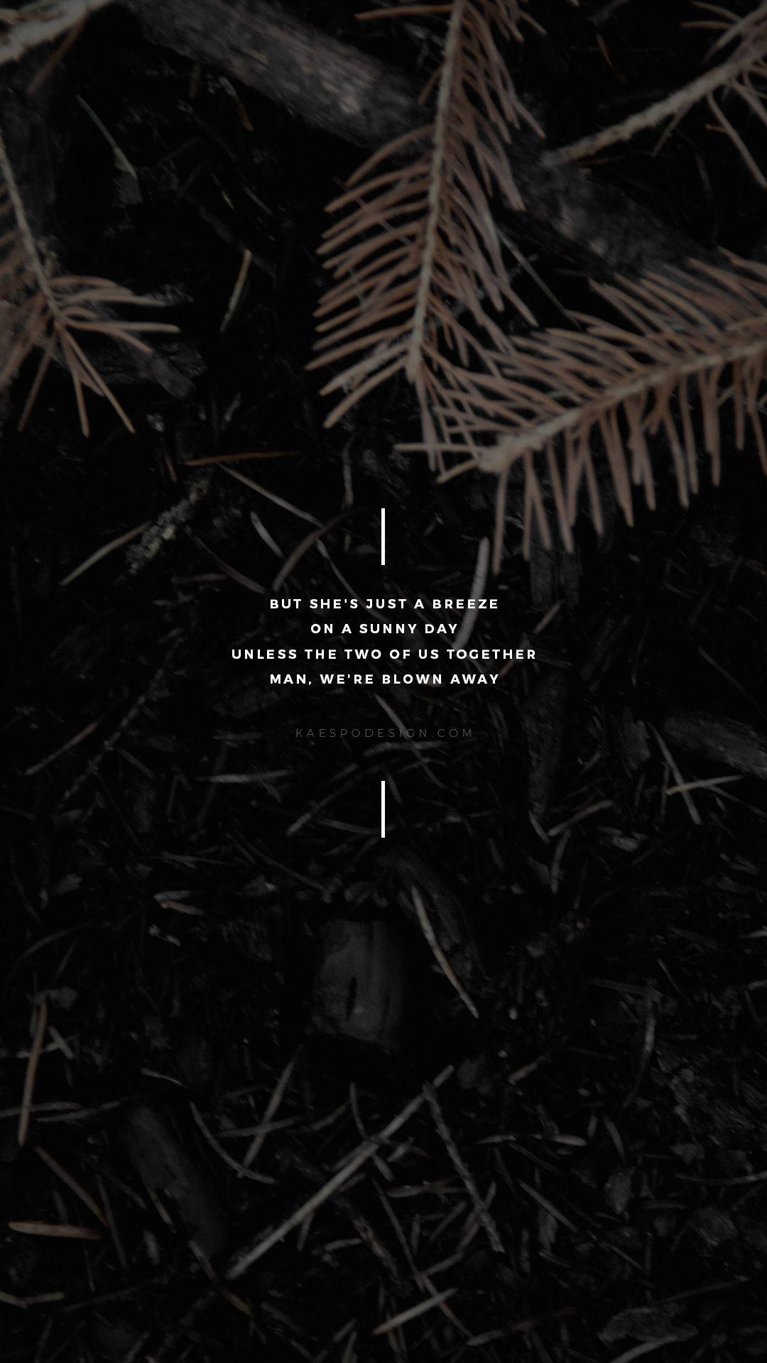 dark forest floor, pine needles, branches, Full HD Phone Wallpaper