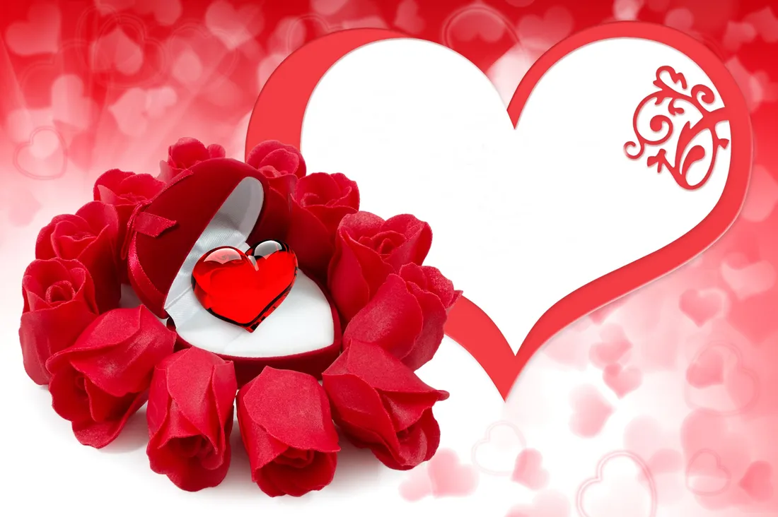 Romantic Rose