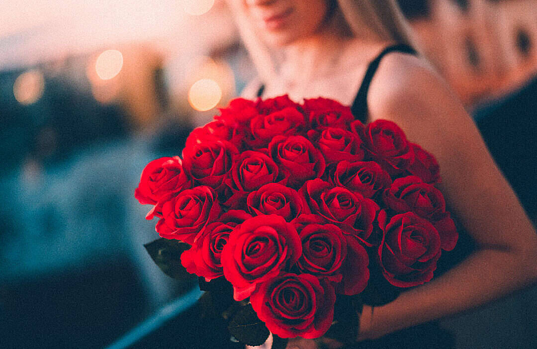 Romantic Rose Bouquet, red roses, golden hour, SD Desktop Wallpaper