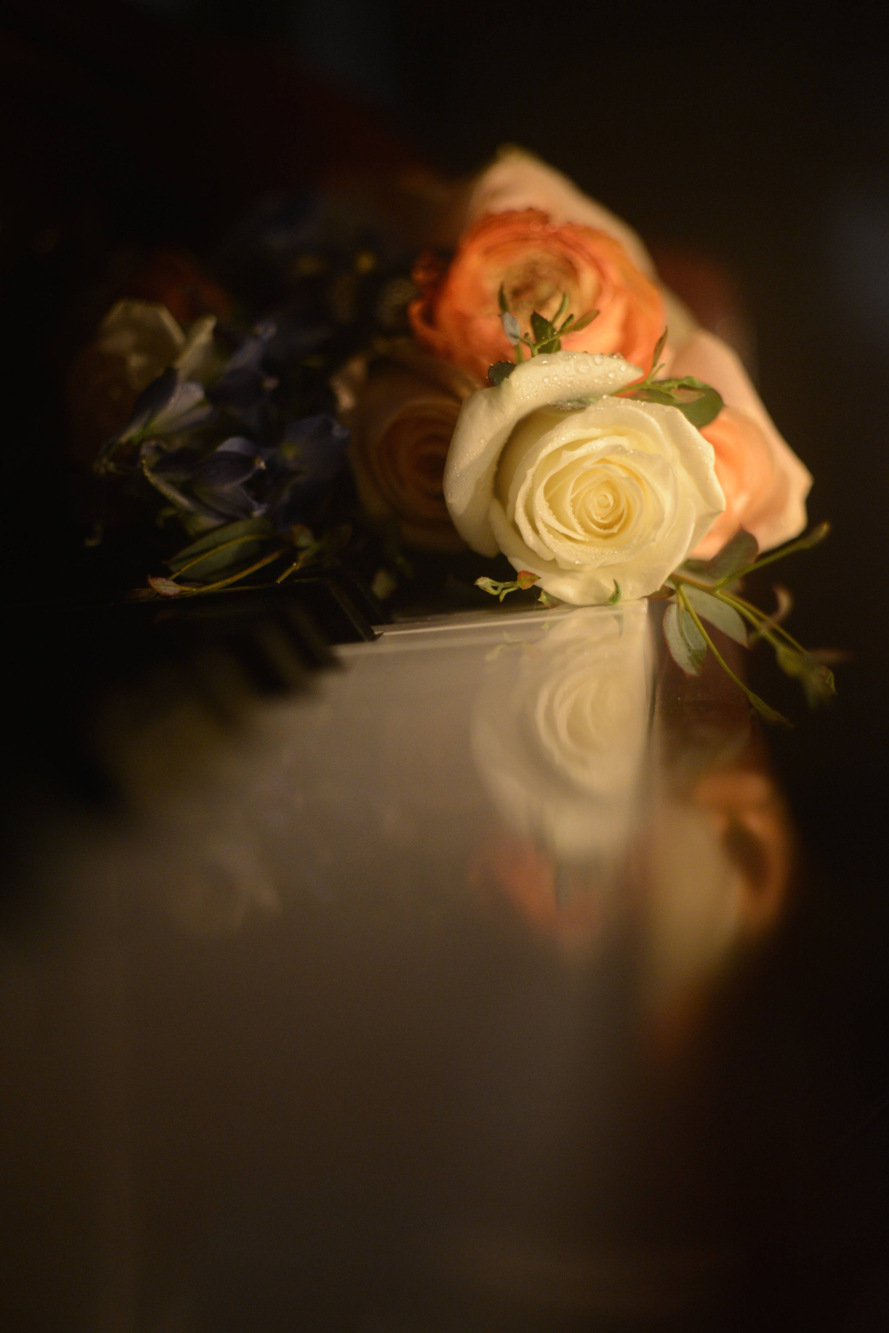 Romantic Roses, piano keys, white roses, 4K Phone Wallpaper