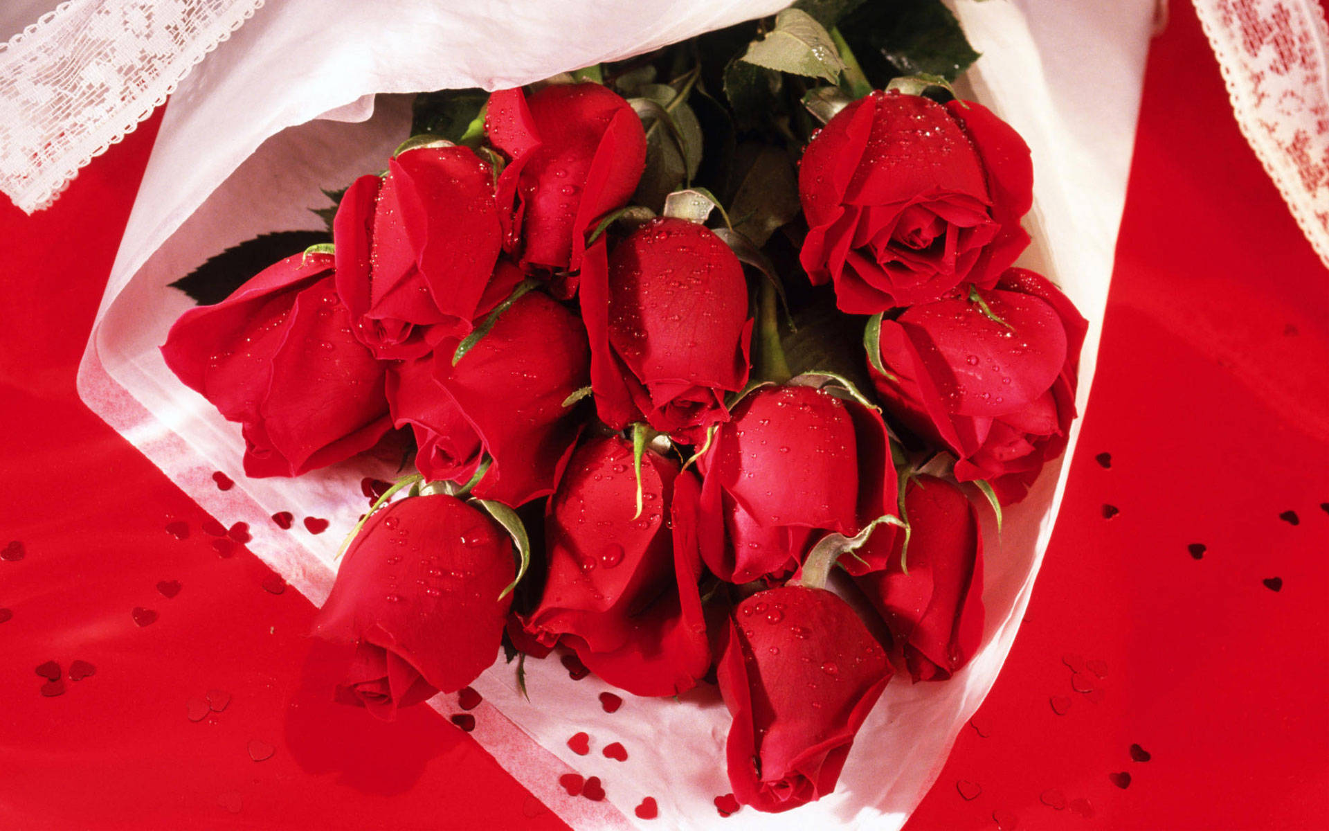 vibrant red roses, dewdrops, white lace-wrapped paper, Full HD Desktop Wallpaper