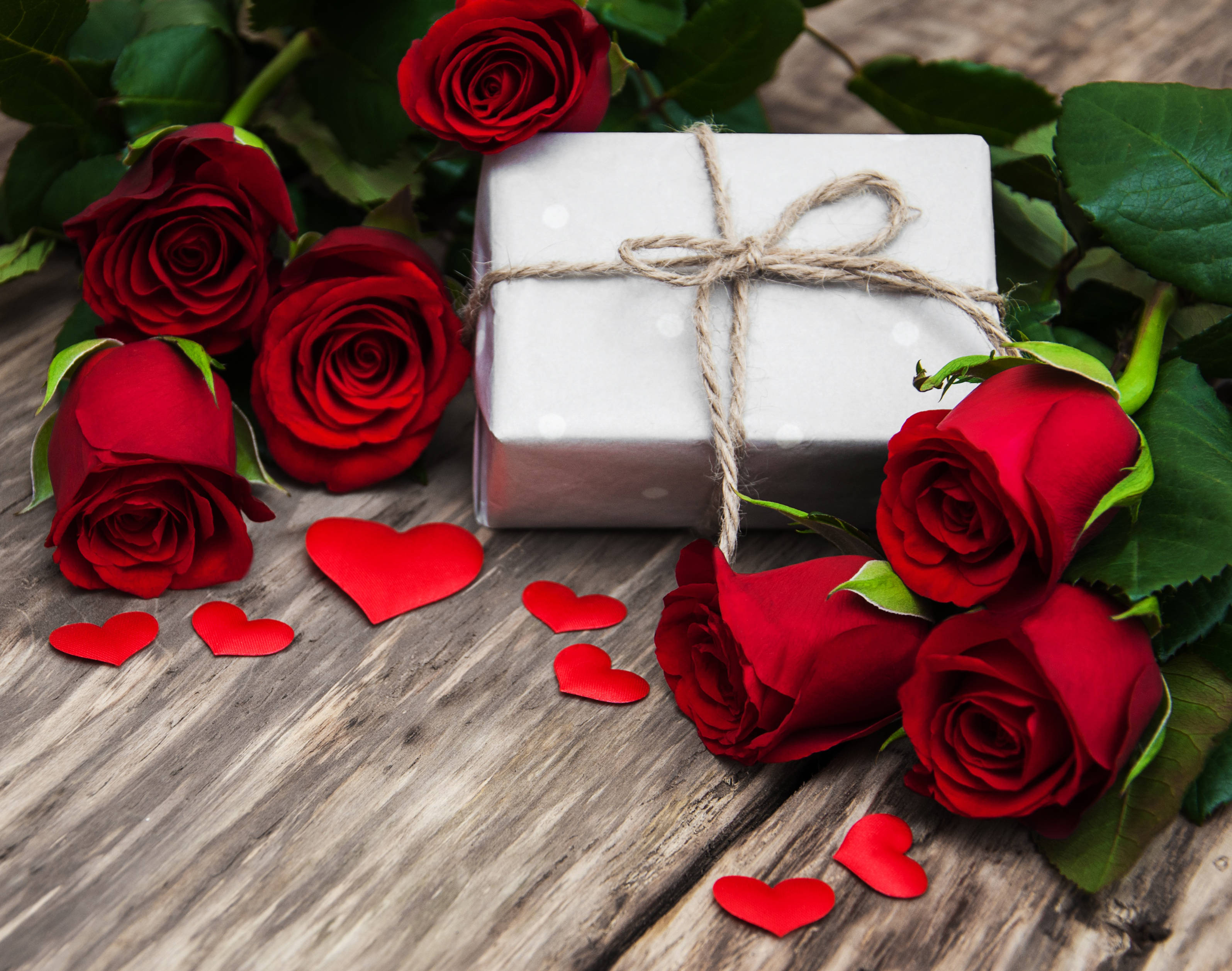 Romantic Rose, secret package, vibrant red roses, 2K Desktop Wallpaper