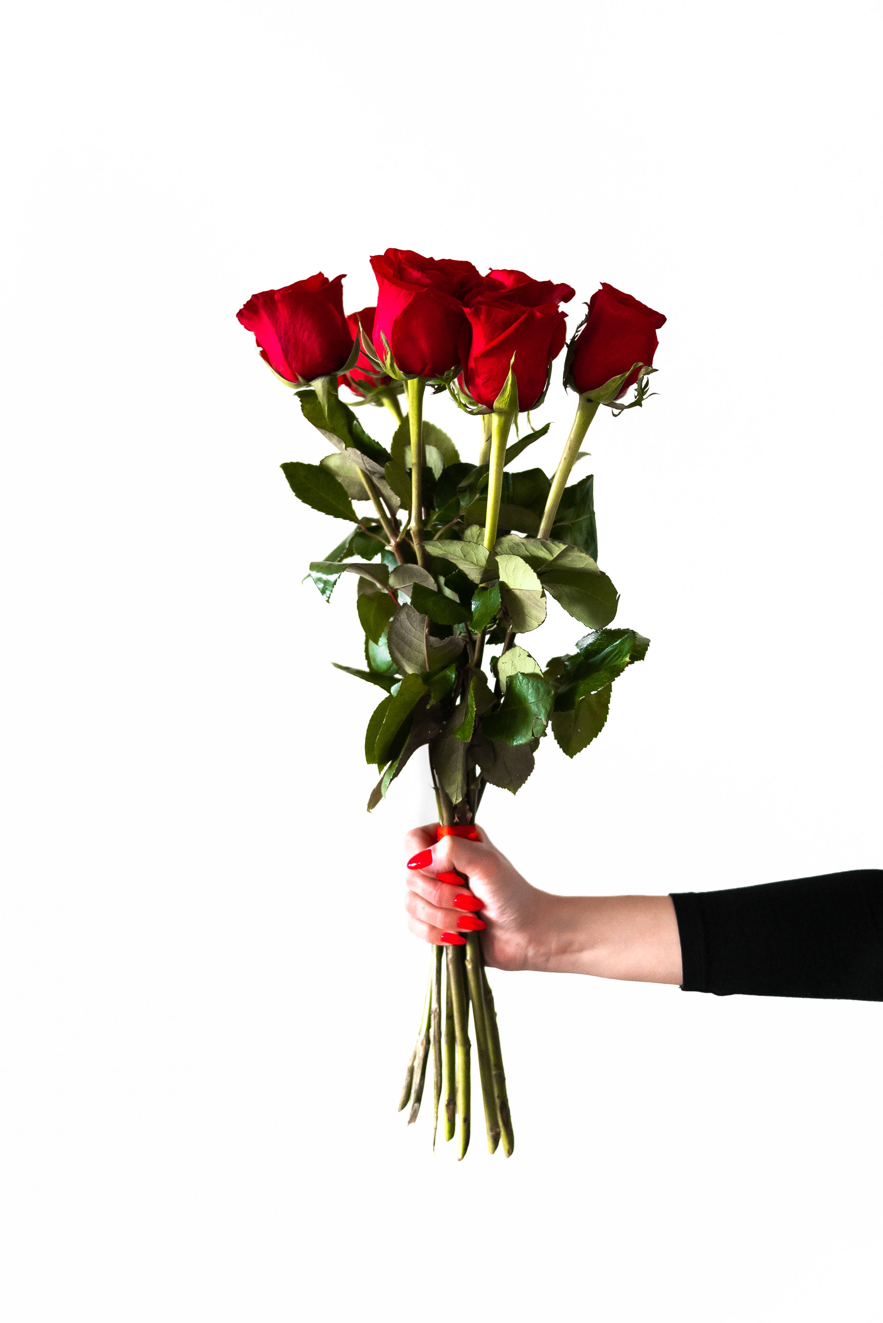 Romantic Rose, red roses, red nail polish, 4K Phone Wallpaper