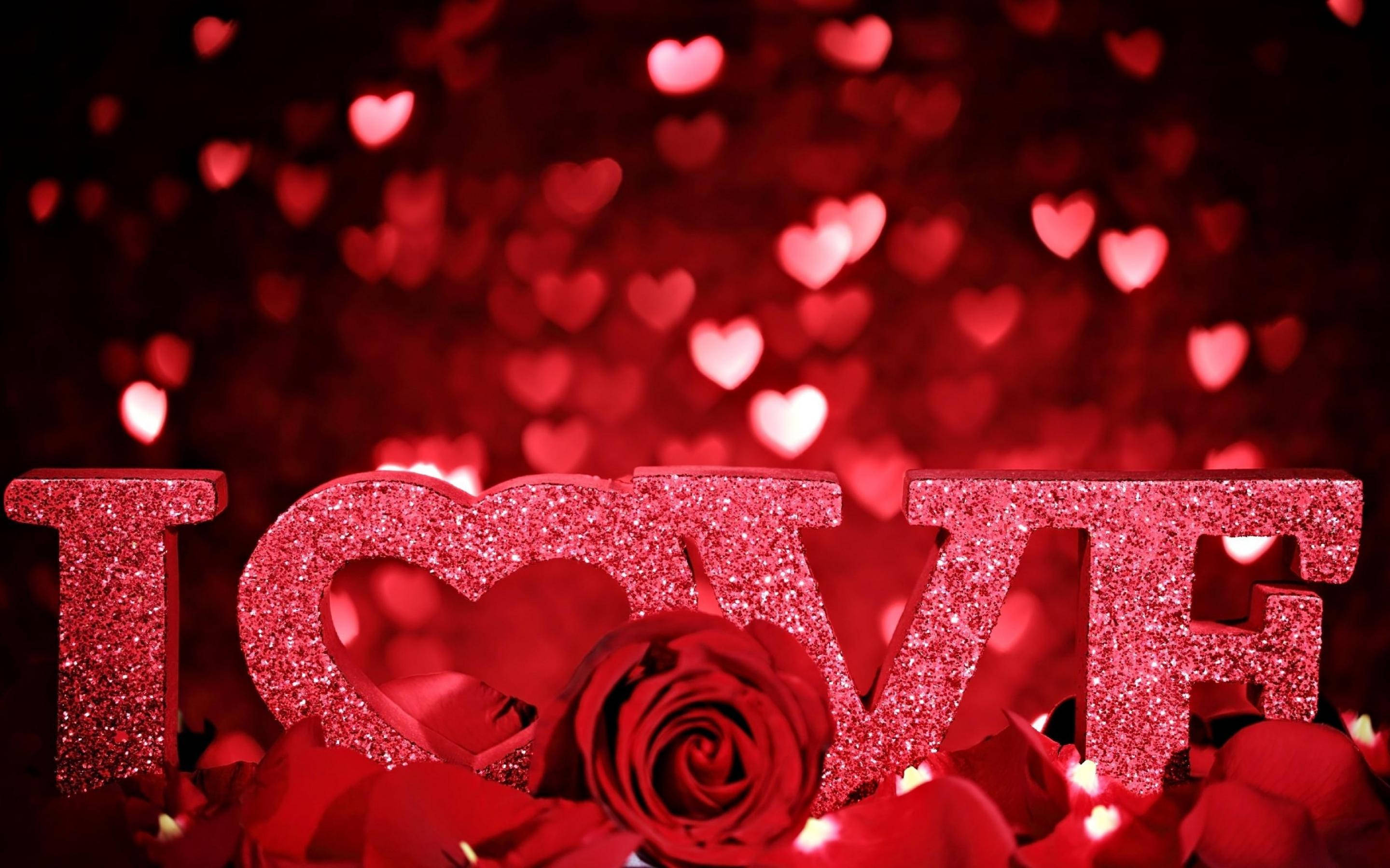 Romantic Rose, LOVE, red, 2K Desktop Wallpaper