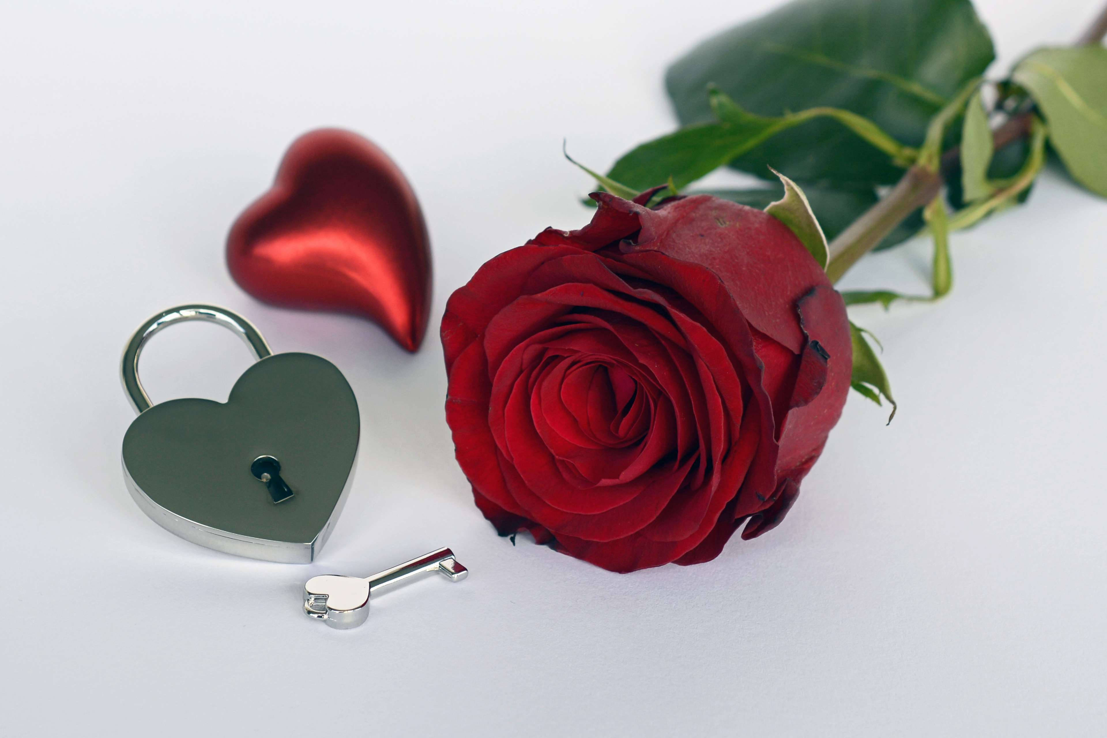 Romantic Rose, heart-shaped padlock, heart-shaped key, 4K Desktop Wallpaper