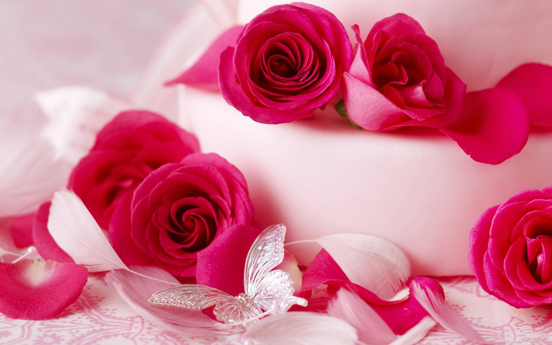 Romantic Rose Cake, vibrant pink roses, petals, Full HD Desktop Wallpaper