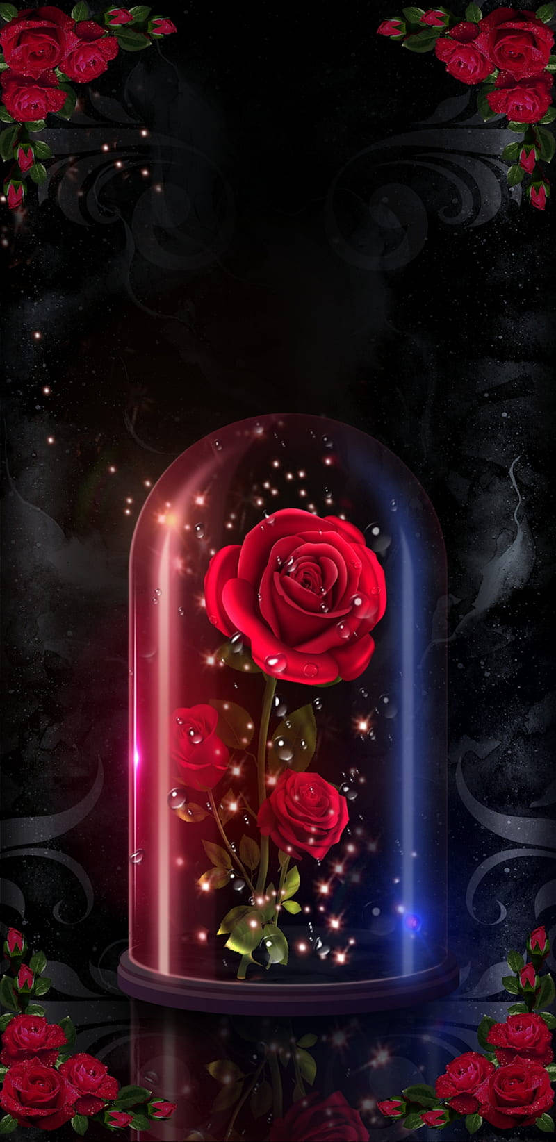 Romantic Rose, glass dome, glowing red rose, HD Phone Wallpaper