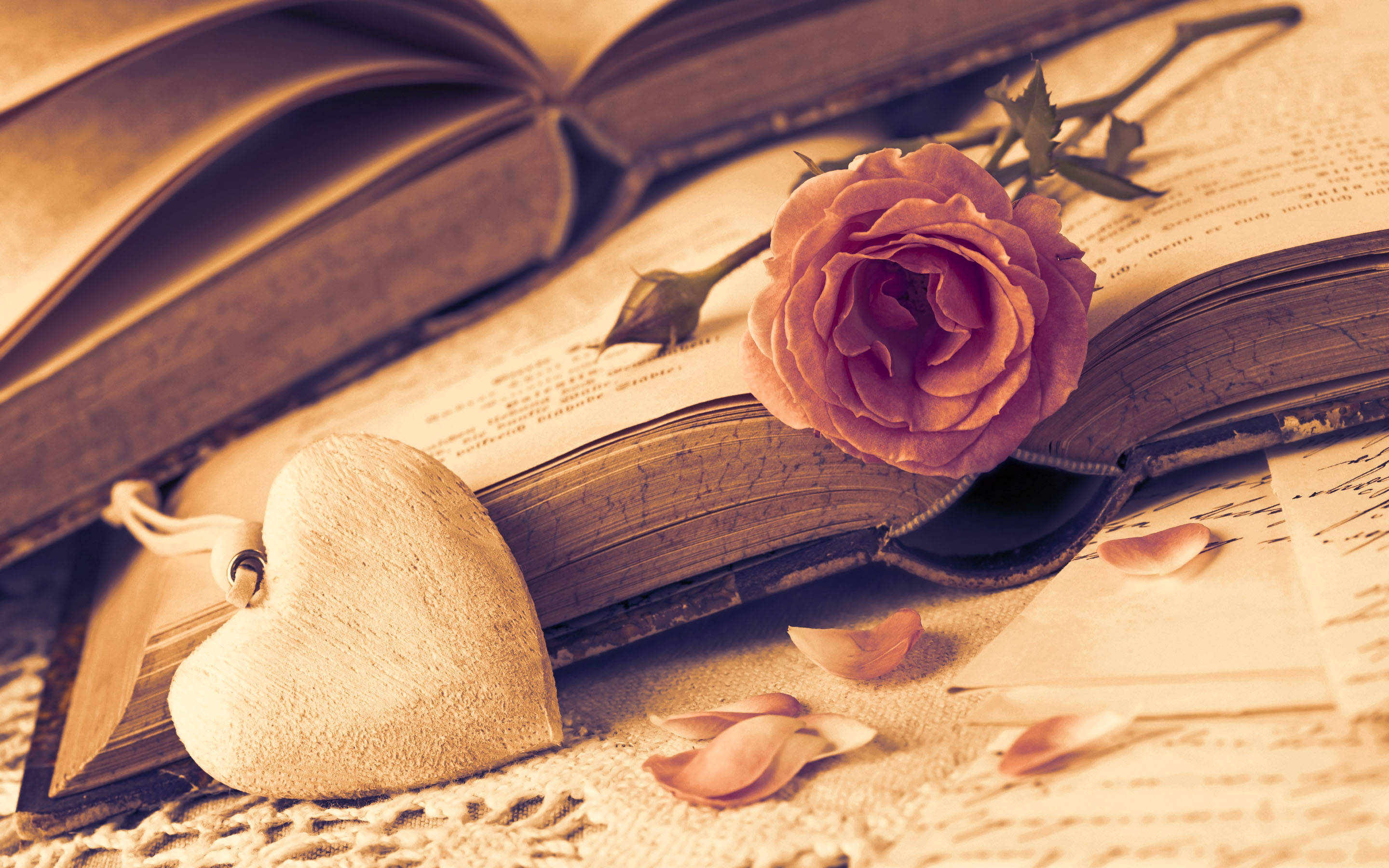 Romantic Rose, vintage book, soft pink rose, 2K Desktop Wallpaper