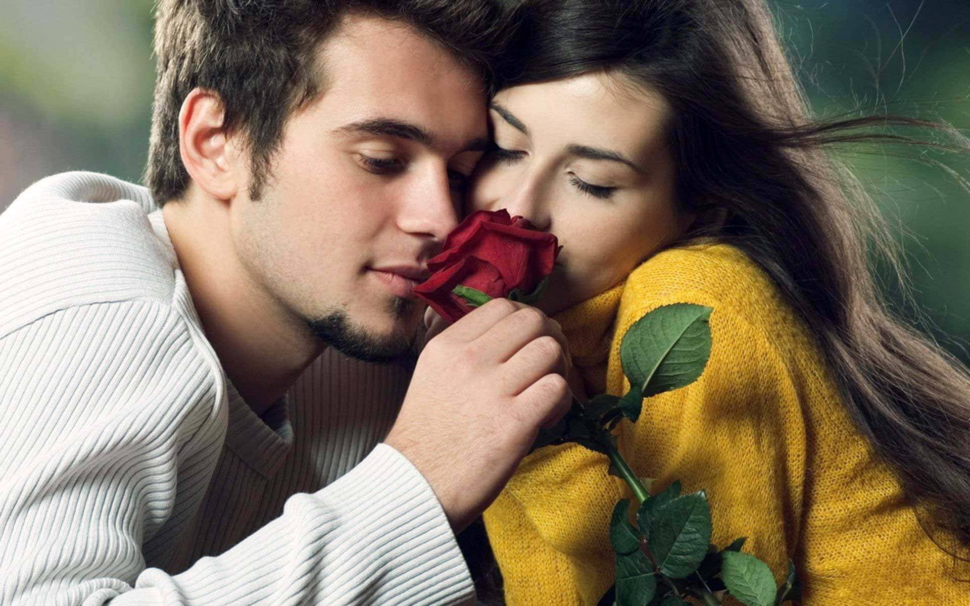 red rose, yellow sweater, white ribbed shirt, Full HD Desktop Wallpaper