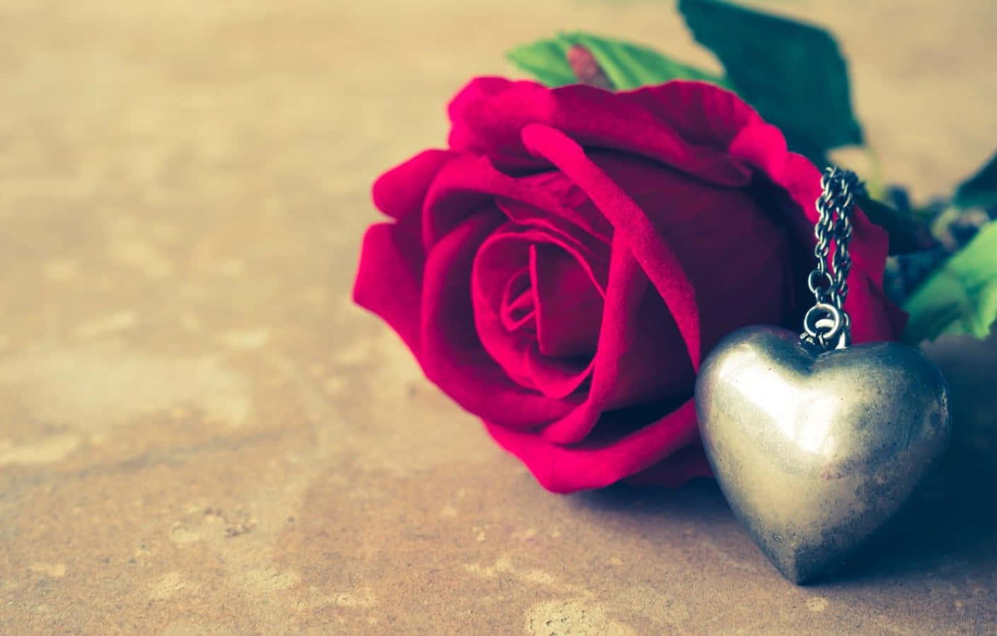 rose heart, 1410 x 900, vivid red rose, HD Desktop Wallpaper