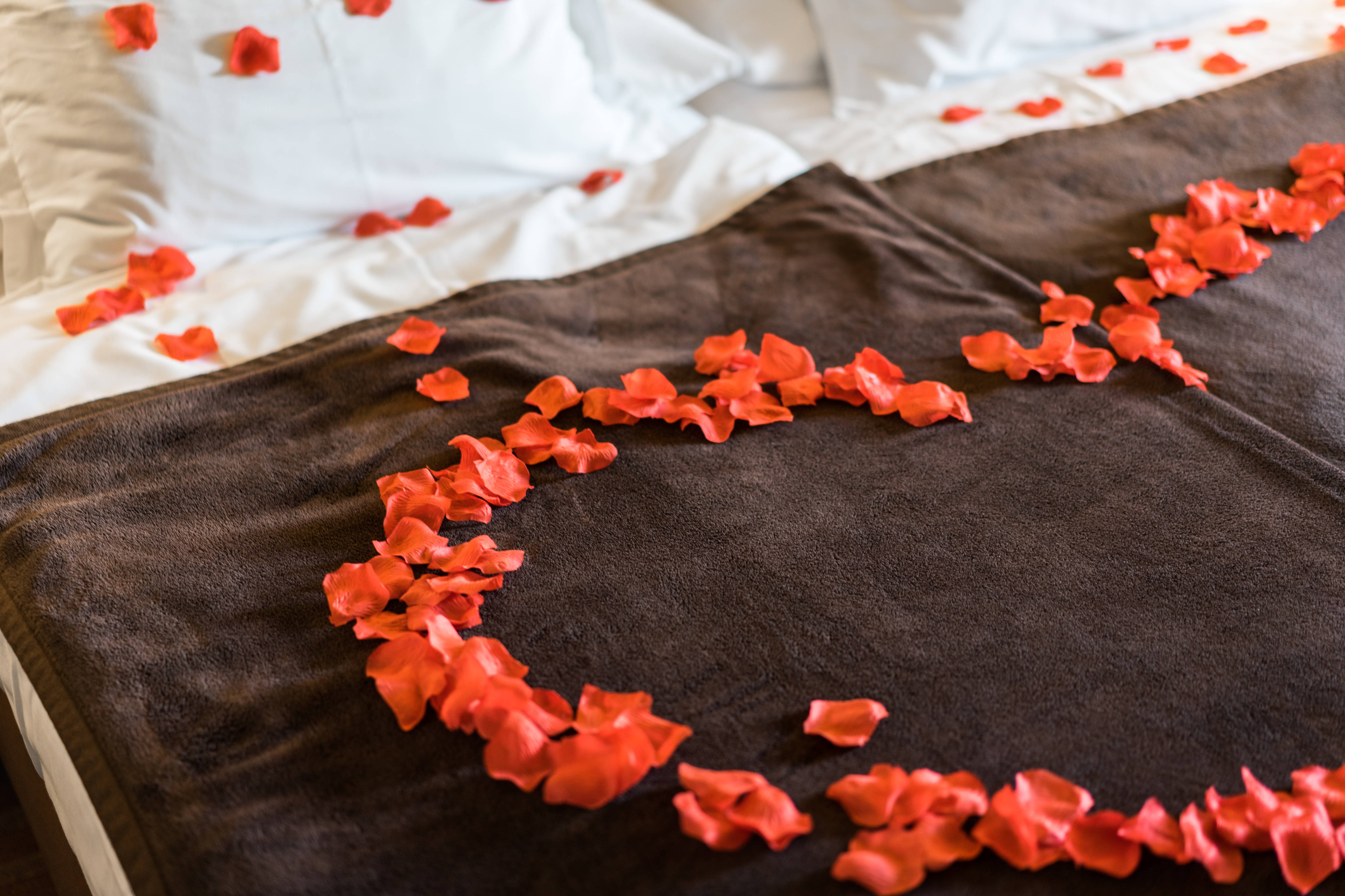 Romantic Rose, red rose petals, heart-shaped arrangement, 4K Desktop Wallpaper