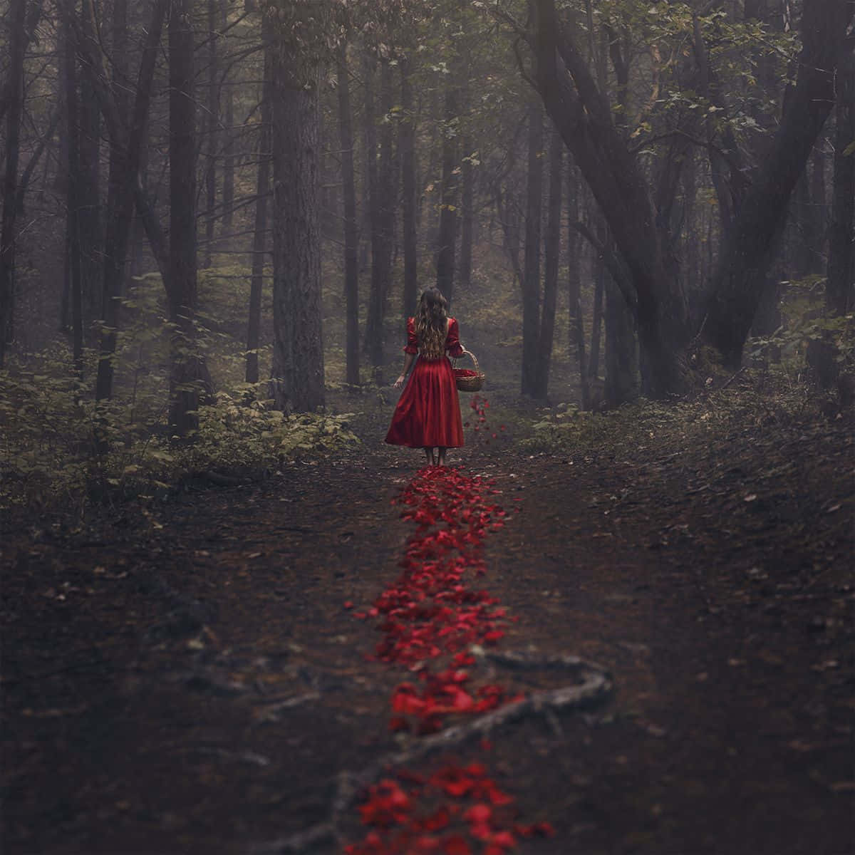 Romanticism, red dress, misty forest path, SD Desktop Wallpaper