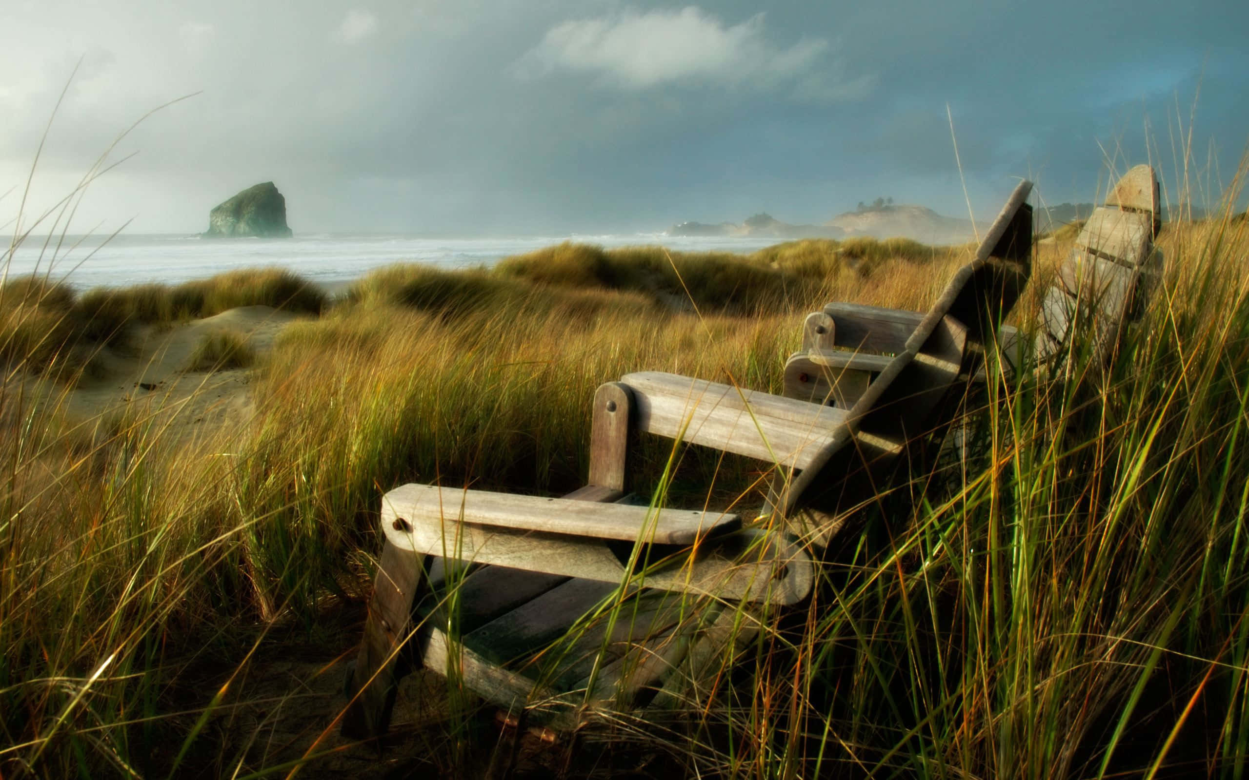 Romanticism, golden beach grass, stormy ocean, 2K Desktop Wallpaper